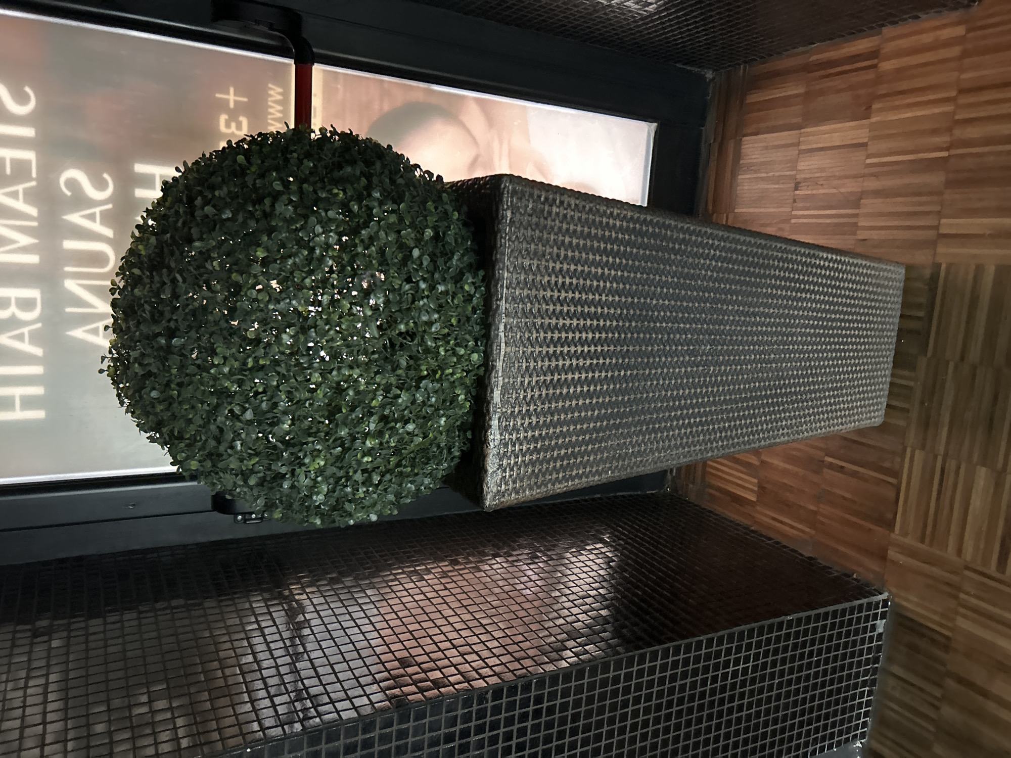 A close-up, high-angle shot shows an artificial topiary ball in a patterned rectangular pot, situated in what appears to be a tiled entryway of a commercial space. The pot sits on a tiled platform. Behind the topiary and pot is a glass door or window, with reflective text including "STEAM BATH SAUNA" visible in reverse. The entryway features wood-paneled flooring. The photograph was taken in Plovdiv, Bulgaria.