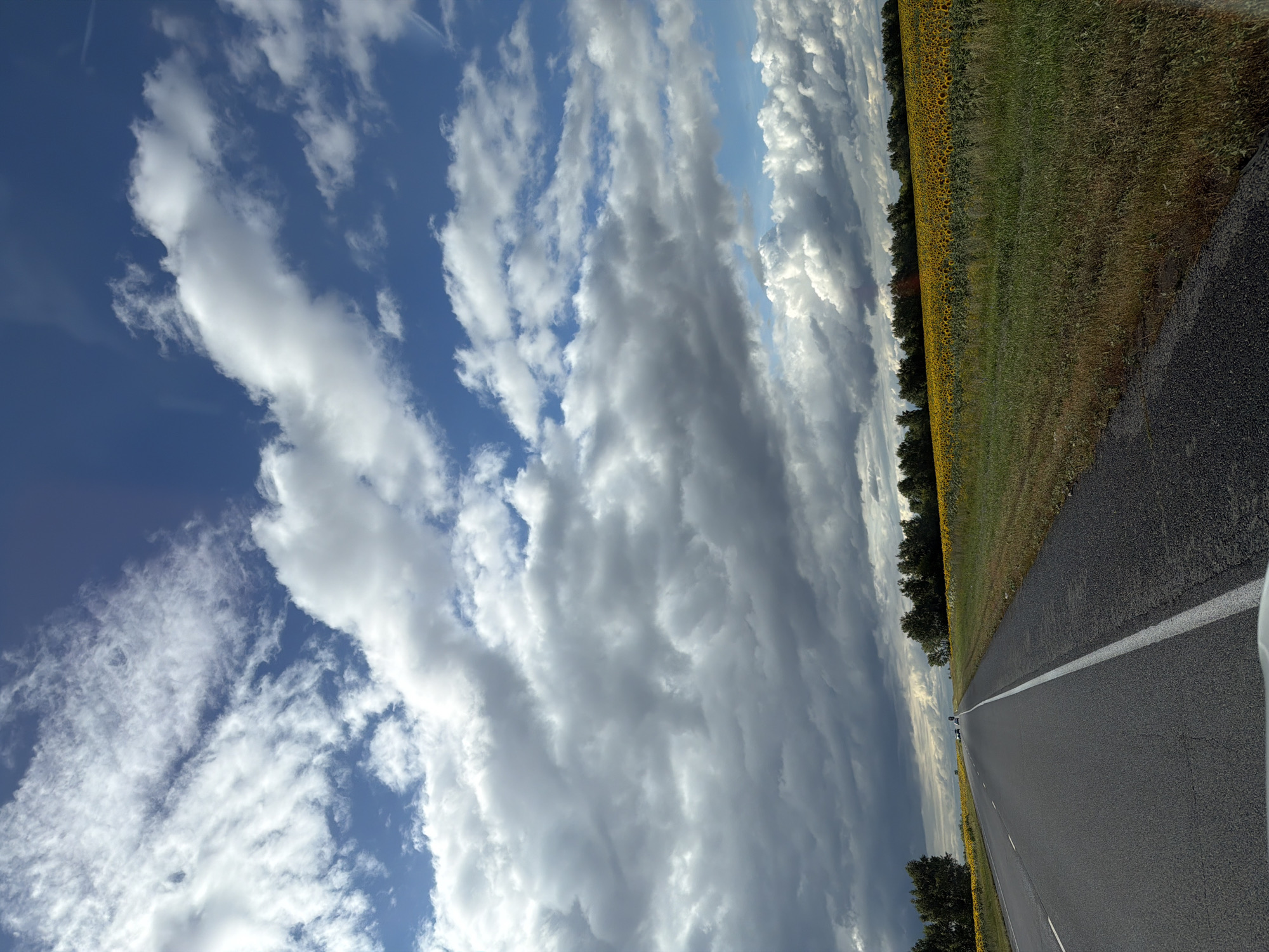 The image depicts a highway with a field of sunflowers to the right, and a line of trees in the distance. The sky is filled with dramatic clouds, ranging from white and fluffy to dark and ominous. There are a few vehicles on the highway, and the scene appears to be a rural landscape in Dal'nii, Russia. The time of day is uncertain due to the cloud cover, but the overall impression is one of a vast, open space under a dynamic sky.