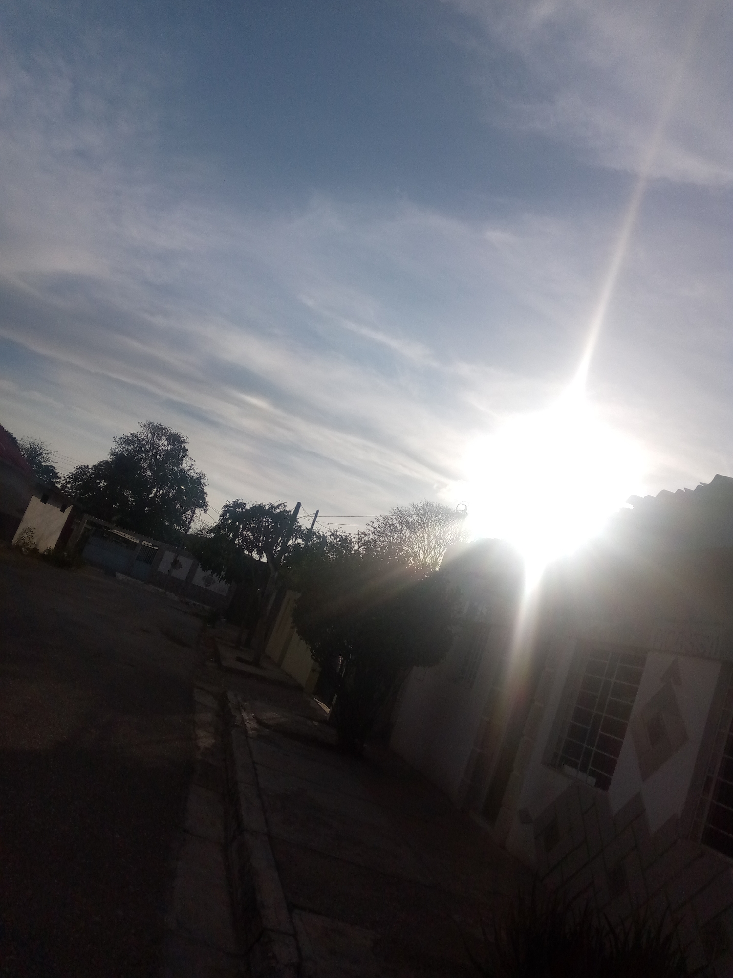 The image presents a sun-drenched street scene, likely in Juan Griego, Venezuela, taken with a tilted perspective. The intense sun, located in the upper right quadrant, dominates the lighting, creating a brilliant lens flare and casting much of the foreground and midground into deep shadow.
The upper portion of the frame is filled with a light blue sky, adorned with delicate, elongated white clouds, suggesting cirrus or altostratus formations. The intense glare from the sun brightly illuminates the right side of the sky.
In the dark foreground, a paved street or road stretches from the bottom left towards the center. A raised curb or sidewalk runs along the left edge of the street. Some dark, low-lying vegetation is visible in the immediate foreground on the right.
The midground and background are populated by residential buildings and dense trees. On the far right, a light-colored building features distinct geometric patterns of diamonds and rectangles on its facade, along with several windows fitted with security bars. Further into the scene, particularly on the left, a cluster of large trees with dark, dense foliage stands silhouetted against the bright sky. Faint utility poles and overhead wires can be discerned among the trees.
The extreme contrast between the bright sky and the dark, back-lit elements strongly indicates that the photograph was captured during either sunrise or sunset. No people or specific activities are depicted, portraying a static and serene view of the street. There is no visible text in the image.