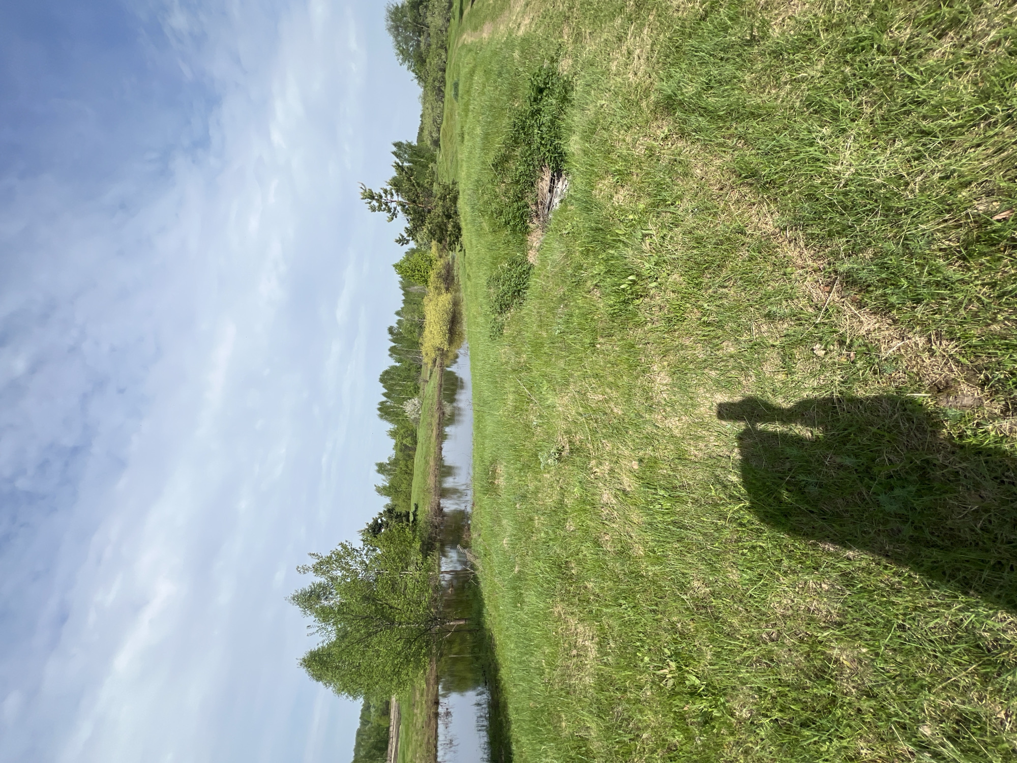 The scene is a green field with a body of water (likely a lake or pond) running along its edge. Trees line the opposite bank of the water. The sky is partly cloudy. The shadow of a person taking the photo is visible in the grass. Given the specified location as Pustyn', Russia, this could be a natural area within or near the city. There are no people or subjects visible in the picture besides the shadow. The action is the taking of a picture. The interaction is between the person and the environment.