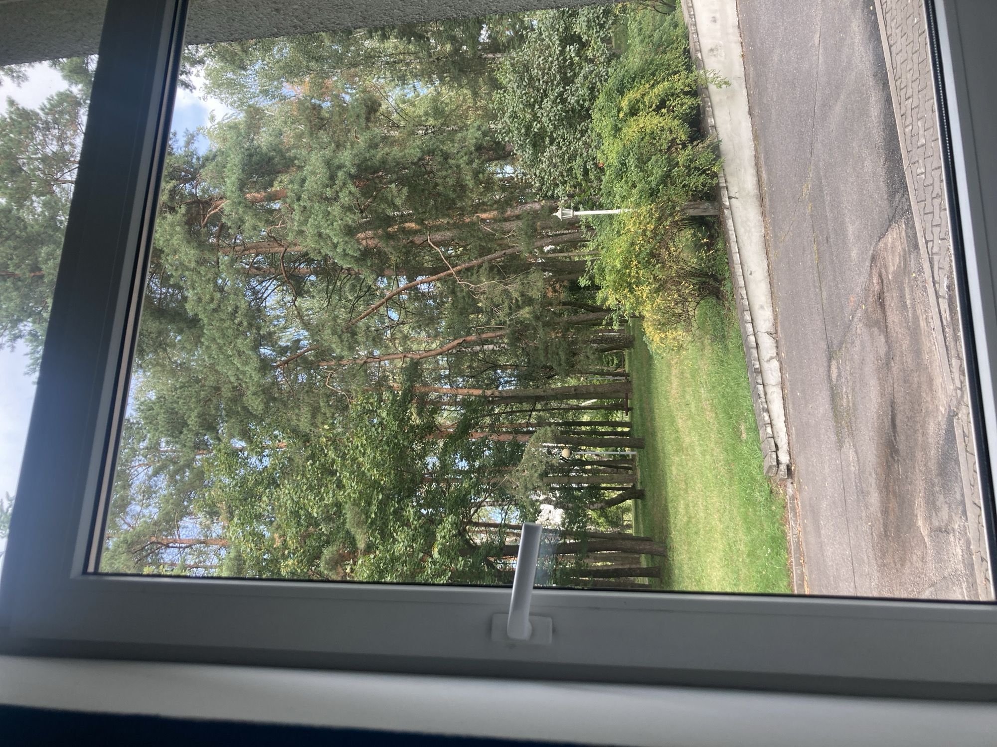 The image shows a view through an open window onto a park-like area with tall pine trees and lush green foliage. In the foreground, a white window frame and handle are visible. Beyond the window, a paved pathway runs alongside a grass area. A white lamppost stands amidst dense green bushes. The trees are densely packed, suggesting a natural setting. The ground appears to be asphalt with some water stains or reflections. The sky above is partly cloudy with patches of blue visible. The scene is calm and natural, likely a public park or garden area within or on the outskirts of Baranavichy, Belarus.