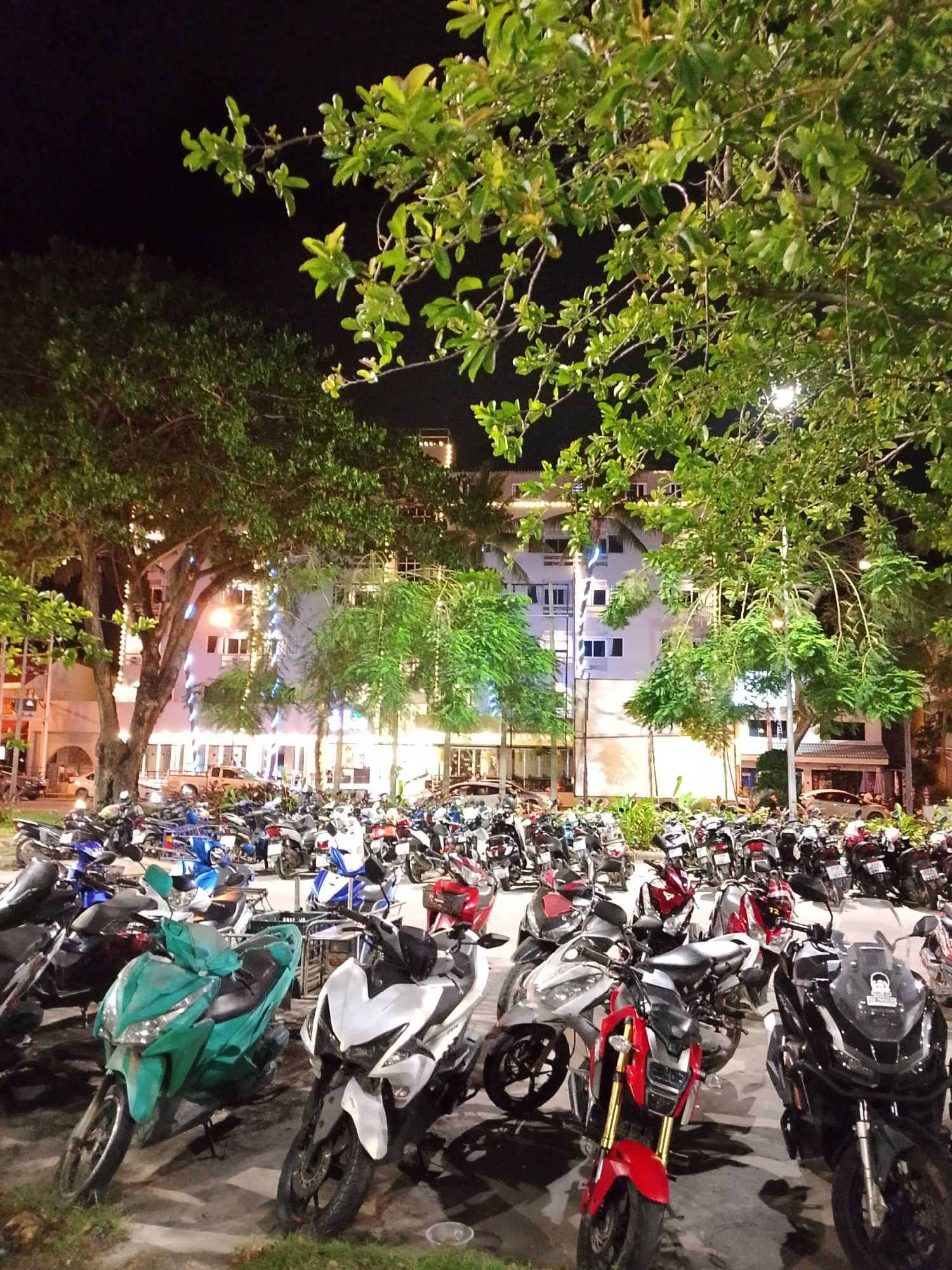 This image captures a nighttime scene of a densely populated motorcycle parking area in ตำบลเกาะพะงัน, Thailand. The foreground is filled with numerous motorcycles and scooters, parked closely on a paved surface. Key colors visible among the parked vehicles include teal, white, red, black, blue, and silver. A prominent large tree with dense green foliage occupies the left side of the midground, with its branches extending into the upper frame. Additional trees with illuminated green leaves are scattered throughout the midground and foreground, obscuring parts of the background.
In the background, multi-story buildings, consistent with hotel or commercial structures, are visible. These buildings feature numerous windows and are illuminated by internal and external lights, some displaying decorative string lights or blue accent lighting on their facades. A white pickup truck is partially visible between two trees in the midground, parked near the buildings. The sky is dark, indicating a nighttime setting, with artificial light sources providing illumination across the scene. No discernible individuals are present or actively engaged in the immediate foreground.