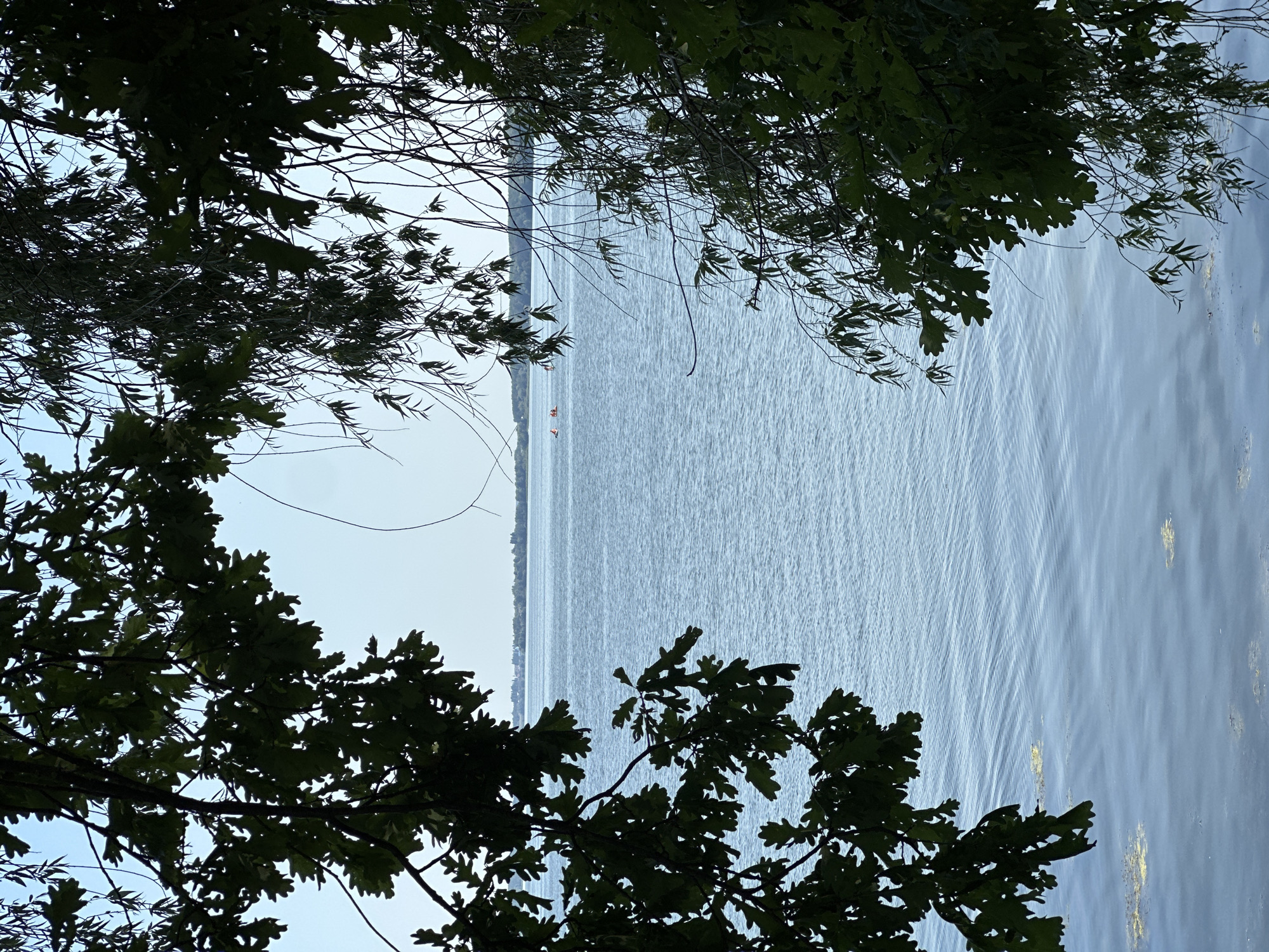 The image depicts a tranquil scene of a body of water, possibly a river or lake, framed by the dark silhouettes of tree branches and foliage. The water's surface is rippled, suggesting a gentle breeze. In the distance, a faint line of trees marks the horizon, with a clear sky above. Two small figures, likely on a boat or paddleboards, are visible on the water. The overall impression is one of a serene natural setting. The prompt requests a description that includes the city of Lipetsk, Russia. Without additional information or context linking this image specifically to Lipetsk, it is impossible to confirm its location.