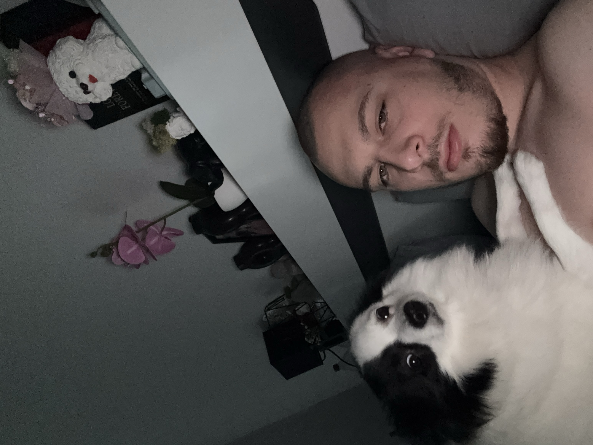 A man with a shaved head and a short beard lies on a bed next to a black and white dog. The man is turned towards the camera. Beside the bed are a teddy bear, flowers, and other decorative items. The location is not identifiable as Stara Zagora, Bulgaria.