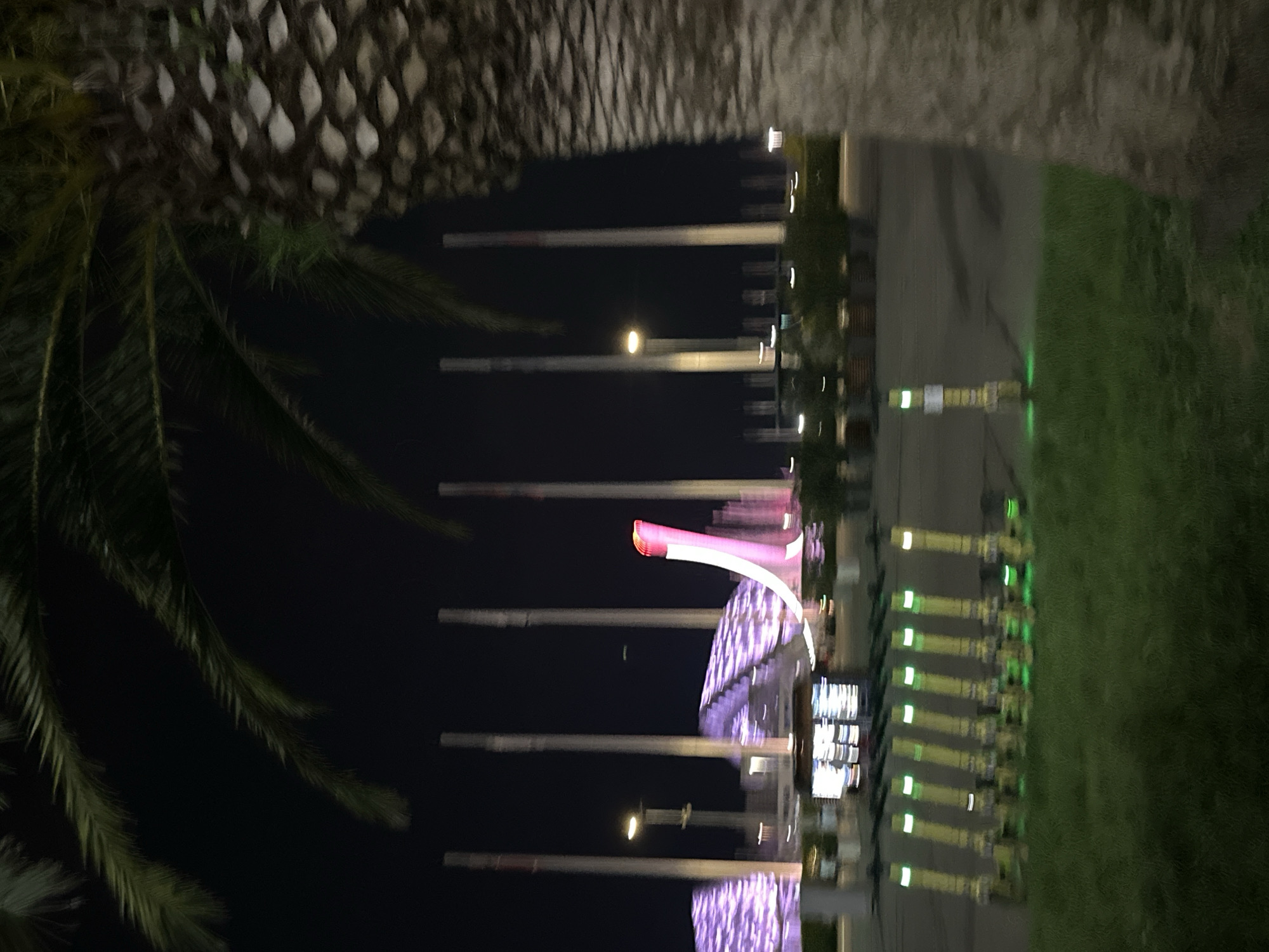 In the city of Sirius, Russia, at night, a row of electric scooters with green lights stands on a paved area in front of a grassy patch. In the background, several tall poles are illuminated, and a distinctive pink and red structure with a flame-like design rises high into the dark sky. To the left, a building with a patterned, illuminated roof is visible, and a large palm tree trunk dominates the right side of the frame.