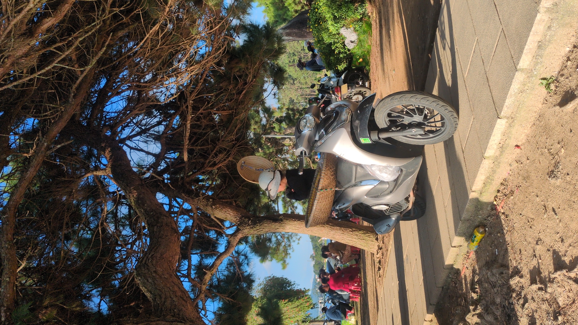 In Da Lat, Vietnam, a scooter is parked on a paved pathway beneath the dappled shade of a large pine tree. A person wearing a conical hat and a wide-brimmed hat is seated behind the scooter, with a woven basket resting on the seat. In the background, several individuals are gathered at small tables, some seated on red stools, and other scooters are parked. The environment suggests a relaxed, outdoor setting, possibly a market or a rest stop, with trees and foliage visible in the distance. A yellow plastic bottle is discarded on the ground near the pathway.