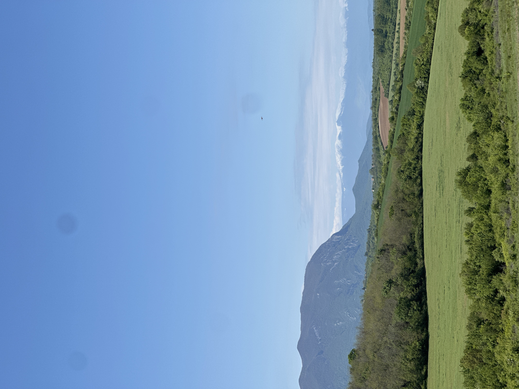 The image depicts a landscape scene in Lilyache, Bulgaria. A clear blue sky occupies the left portion of the frame, with a small bird visible. The right side features a green field bordered by trees and bushes. In the background, there are mountains and some cultivated fields. The image is oriented vertically.
