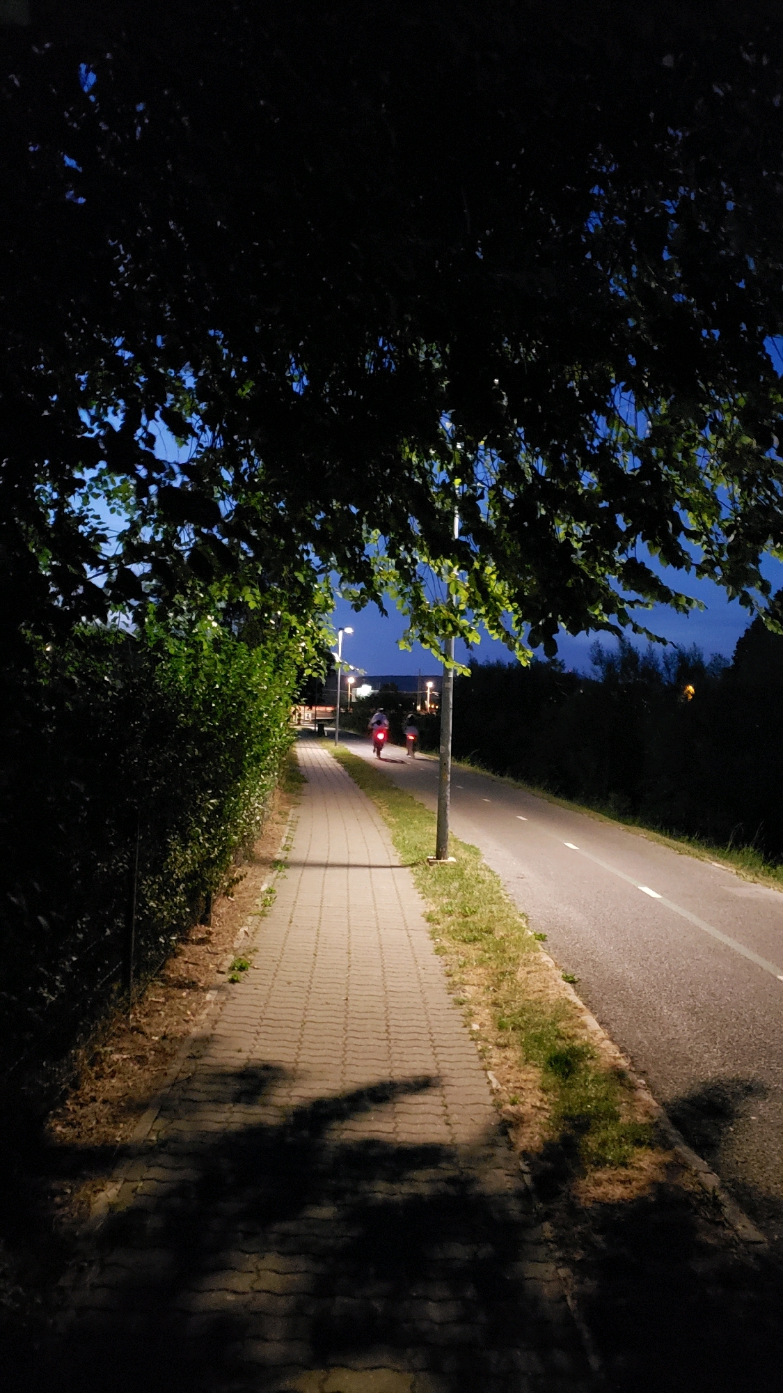 The image depicts a night scene on a paved pathway adjacent to a road. The pathway is illuminated by streetlights, casting shadows of overhanging tree branches onto the ground. Two individuals are visible on the pathway, each riding a bicycle with a lit red taillight. The road beside the pathway is asphalt and has a white line marking the lane. On the left side of the pathway is a dense hedge. The sky is dark blue, indicating nighttime. The image appears to be taken in a park or a recreational area. The location is not specified in the image itself, and therefore cannot be identified as being in the city of Prešov, Slovakia.