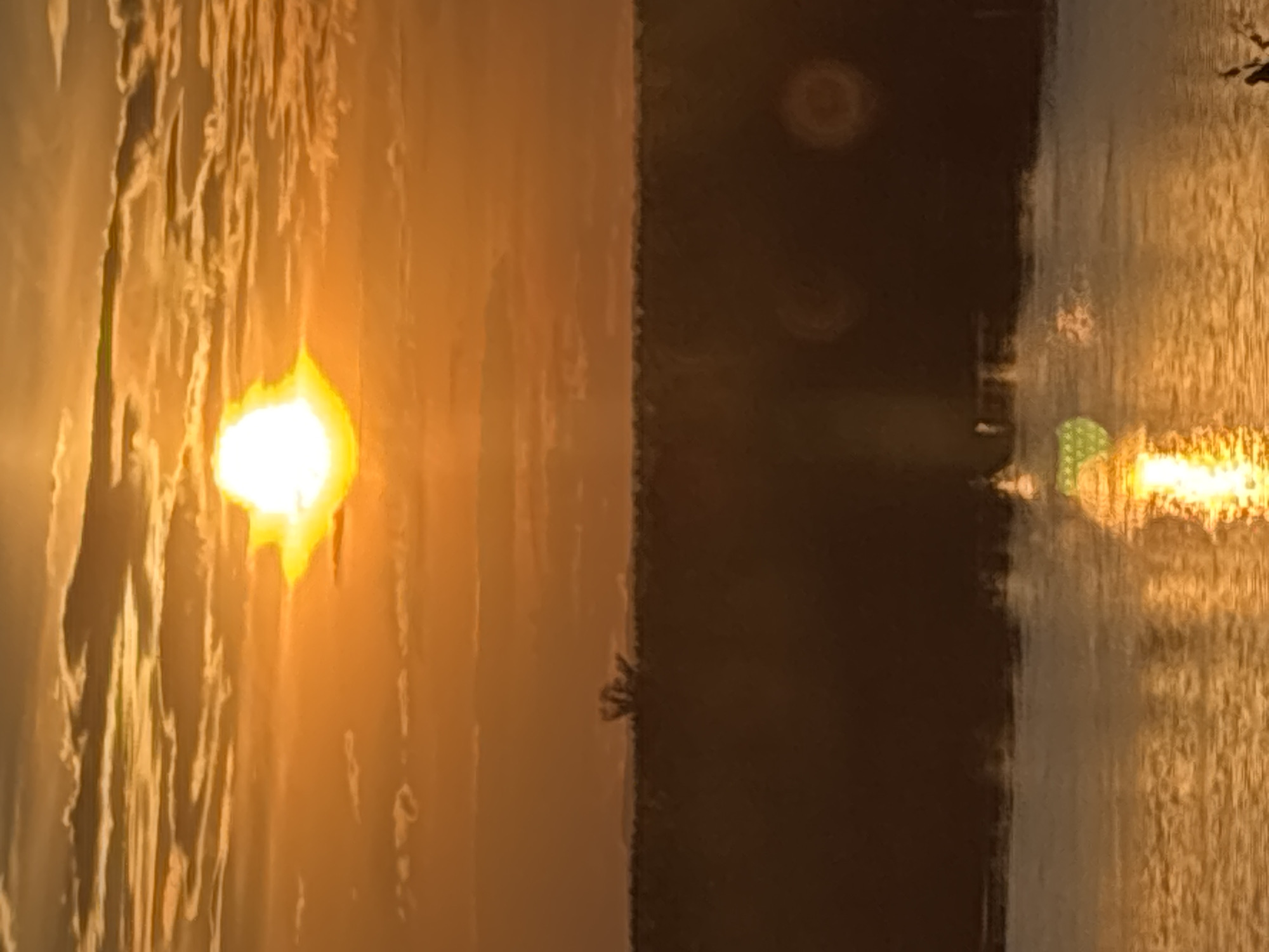 The image captures a sunset over a body of water, likely a river or lake, in Olkhovka, Russia. The sun is a bright, luminous orb positioned in the upper center of the frame, casting a warm, orange glow across the sky. wispy clouds, tinged with orange and yellow, are scattered across the sky, creating a textured backdrop for the sunset. A dark, silhouetted tree line forms a horizontal band across the middle ground, separating the sky from the water. A small, dark silhouette of a single tree with an unusual, branching form is visible on the horizon within the tree line. The water in the foreground reflects the vibrant colors of the sunset, creating shimmering patterns of light and color on its surface. Some circular lens flares are present in the lower right and center of the image, indicating the direction of the light source. The overall scene conveys a peaceful and serene atmosphere characteristic of a natural landscape at dusk.