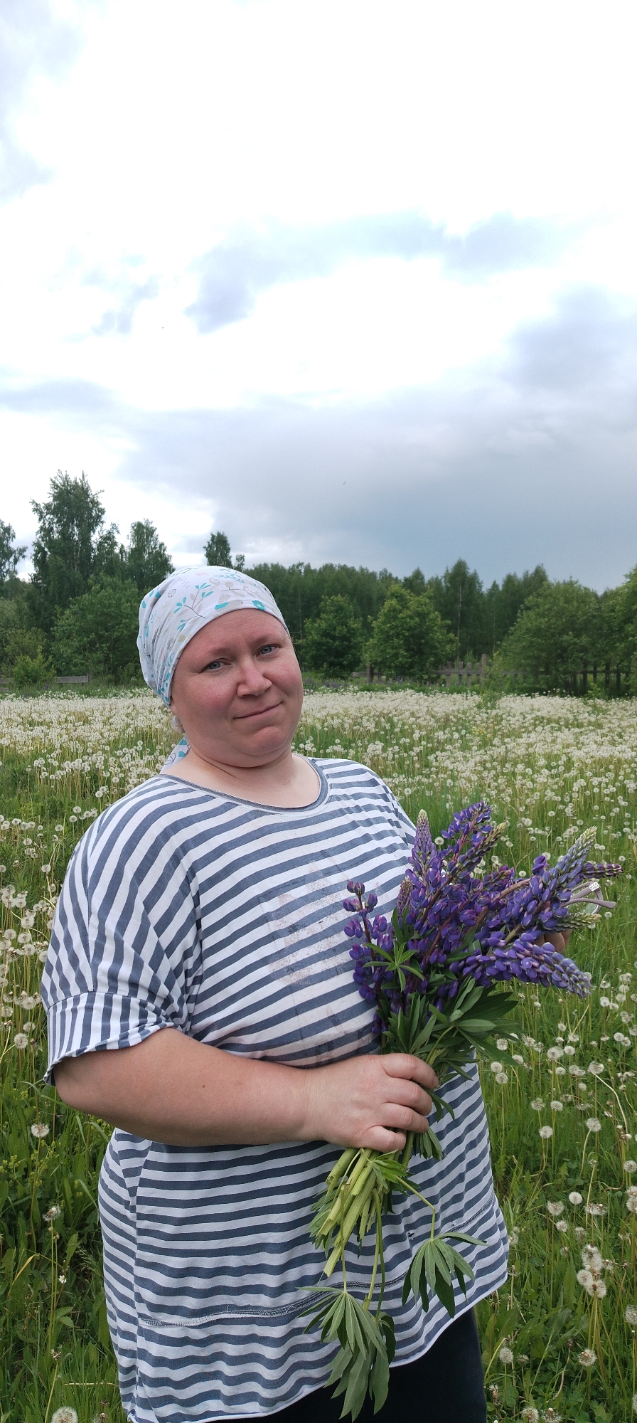 In a seemingly open field in Зипуново, Russia, a woman is seen holding a bunch of purple lupine flowers. She is wearing a striped shirt and a headscarf. The field behind her is filled with dandelions. In the background, there are trees and a cloudy sky.