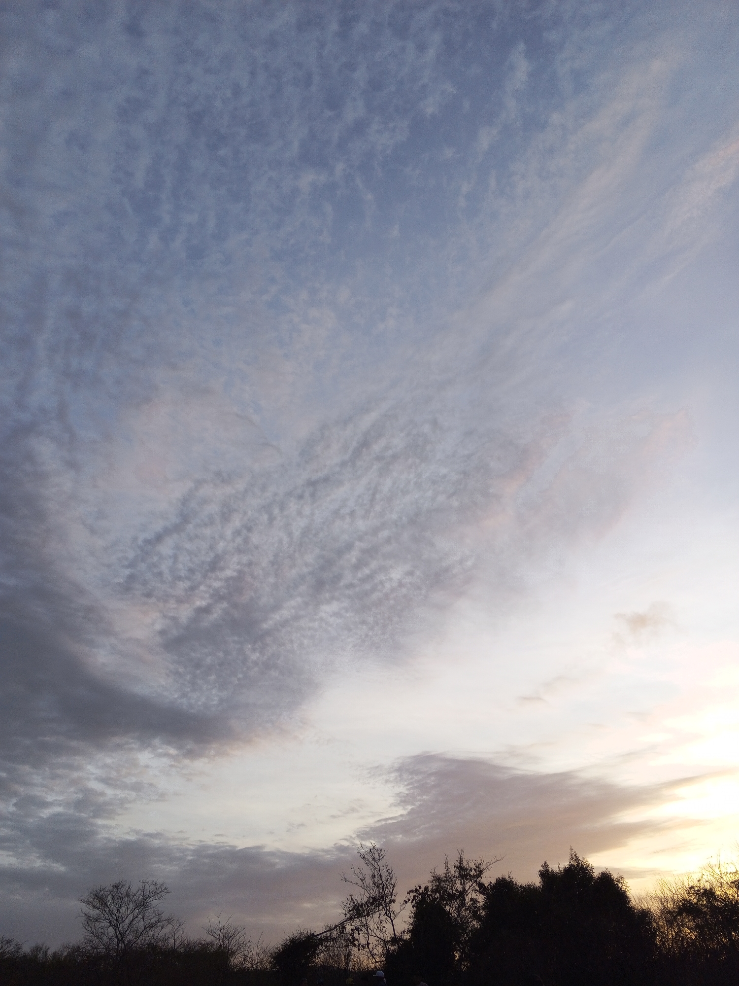 The image shows a sky at dusk or dawn over a landscape with trees. The upper portion of the image is dominated by various cloud formations, including what appears to be altocumulus clouds and some streaky cirrus clouds. The sky's color transitions from a blueish-gray at the top to a lighter, almost white-yellowish hue towards the bottom. The lower part of the image features silhouettes of trees and bushes against the sky. The light suggests the sun is either setting or rising. Location and city cannot be determined based solely on this image.