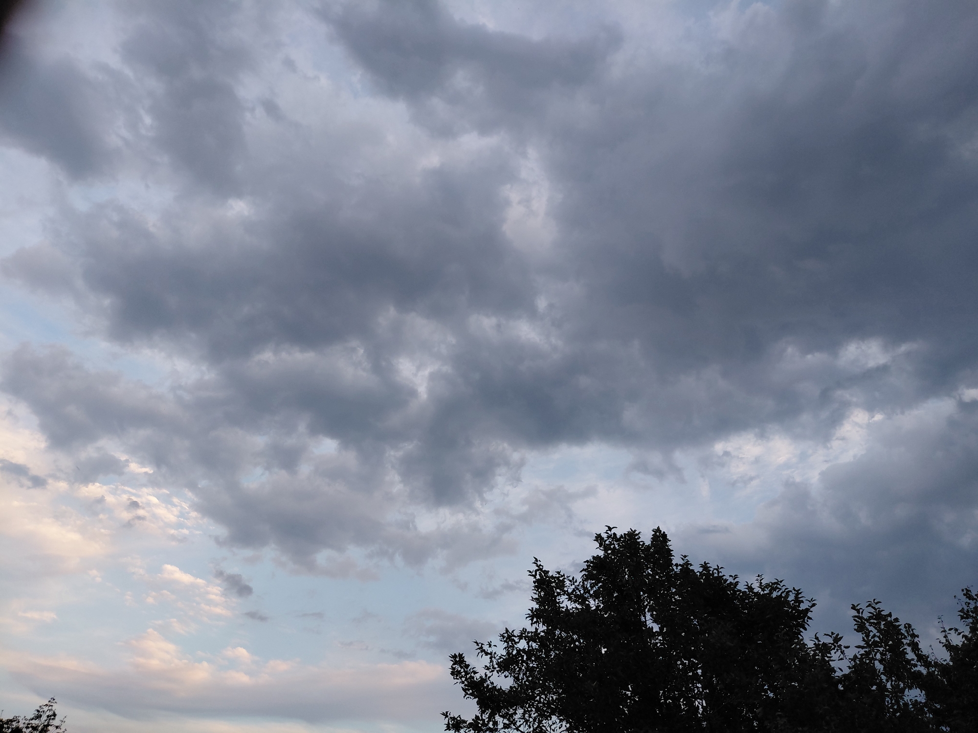 The image captures a sky filled with a dramatic mix of dark grey storm clouds and lighter, softer clouds against a pale blue sky. The clouds are dense and textured, suggesting an impending storm or recent rainfall. In the foreground, the silhouette of the dark green foliage of trees is visible along the bottom of the frame, with the branches and leaves starkly outlined against the brighter sky. The trees appear lush and full, indicating a temperate season. The overall atmosphere is moody and somewhat overcast, though patches of light break through the cloud cover, creating variations in illumination. The scene is likely an outdoor view from a ground-level perspective. There is no indication of the city of Samara, Russia, in this image.