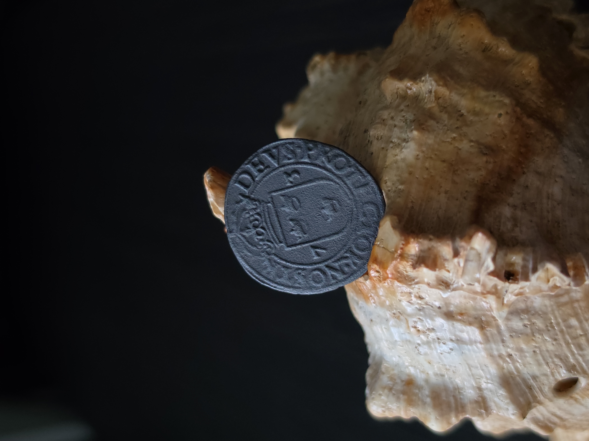 A dark, circular object, possibly a coin, rests on a large, textured, light-colored shell against a dark, out-of-focus background. The object has a raised design, including what appears to be a crown and shield in the center, surrounded by text. The shell has a rough, organic surface with visible ridges and indentations. The lighting highlights the texture of both the object and the shell. The scene is isolated and focused on the interaction between these two elements. There is no indication of a specific location within Strelna, Russia.