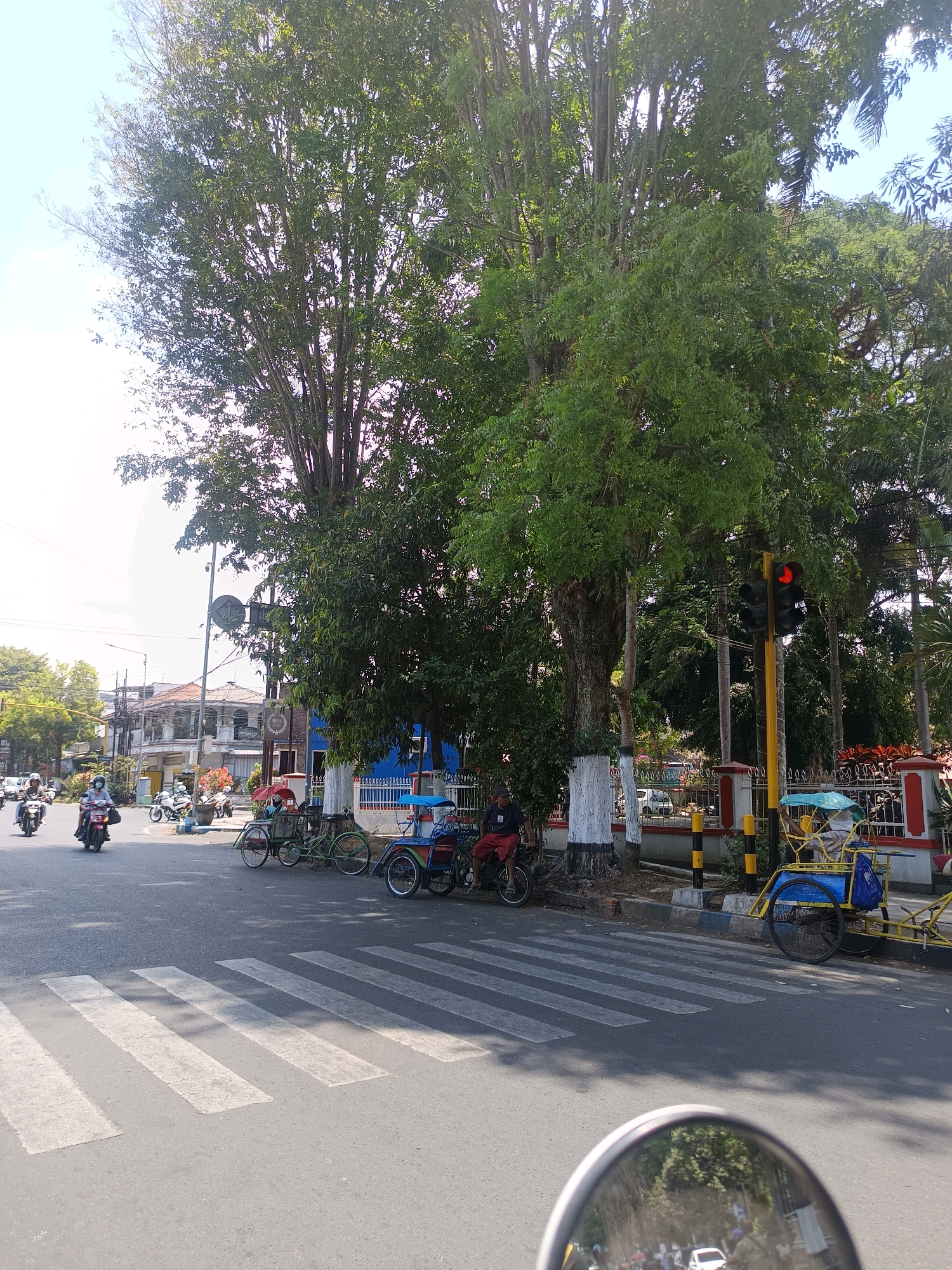 The image captures a street scene in Bondowoso, Indonesia, likely near a traffic intersection. Dominating the frame are large, leafy trees, casting shadows on the asphalt road. A pedestrian crosswalk is clearly visible in the foreground. Several vehicles are present: two motorcycles are being ridden by individuals wearing masks, a green bicycle with a basket, and a yellow motorized rickshaw with a blue canopy. A traffic light with a red signal illuminated stands tall on a yellow pole. In the background, buildings with visible signage and some parked cars suggest an urban environment. The sky is bright and clear, indicating a sunny day. The perspective suggests the photo was taken from a moving vehicle, possibly a motorcycle, as indicated by the reflection in a mirror at the bottom of the frame.