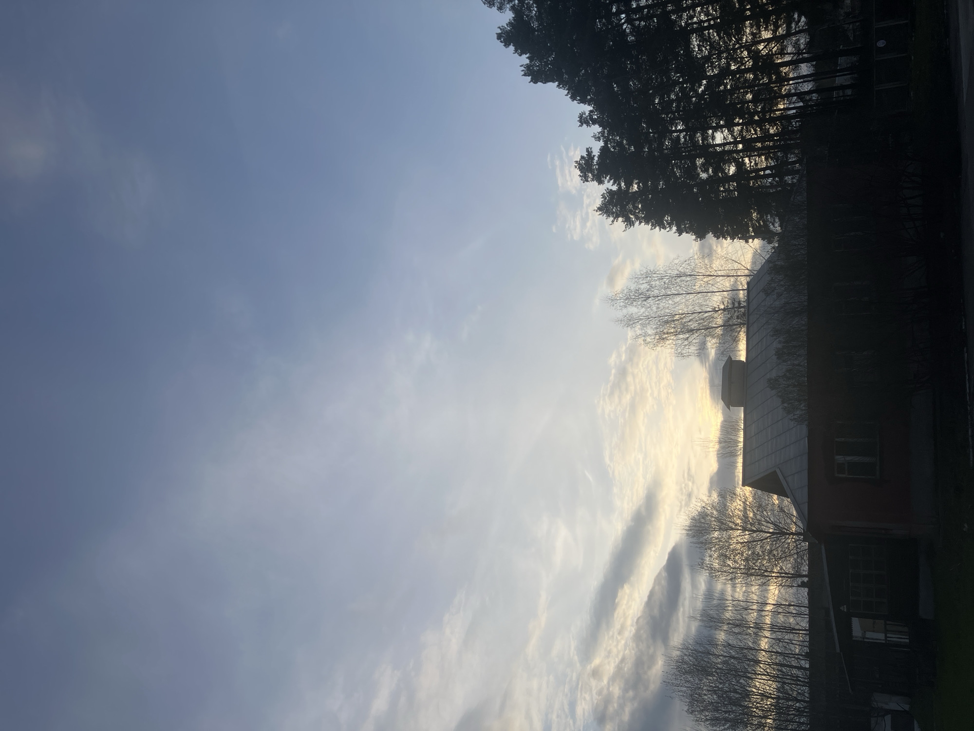 The image depicts a twilight or dawn scene in Noviy, Russia. Predominantly, the sky is visible, exhibiting a range of cloud formations illuminated by the sun. Silhouetted trees appear along the top edge. Part of a building is visible on the right-hand side. A bare tree in the lower right obscures some parts of the building. The overall impression is of a semi-rural or suburban setting at twilight/sunrise.