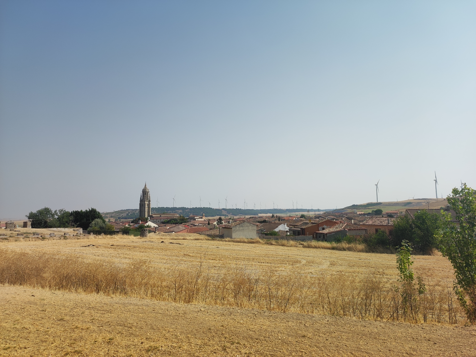 The image depicts a rural landscape in the city of Ampudia, Spain, on a clear, sunny day. In the foreground, a field of dry, golden grass stretches across the frame, hinting at a harvest season. Further back, a cluster of buildings, characteristic of a Spanish village, unfolds, with terracotta roofs and stone structures. Dominating the skyline of the village is a tall, slender church tower, its intricate architecture standing out against the pale blue sky. In the distance, a line of wind turbines is visible on a low hill, a modern addition to the traditional scenery. The overall impression is one of a serene, sun-drenched countryside, where history and modernity coexist.