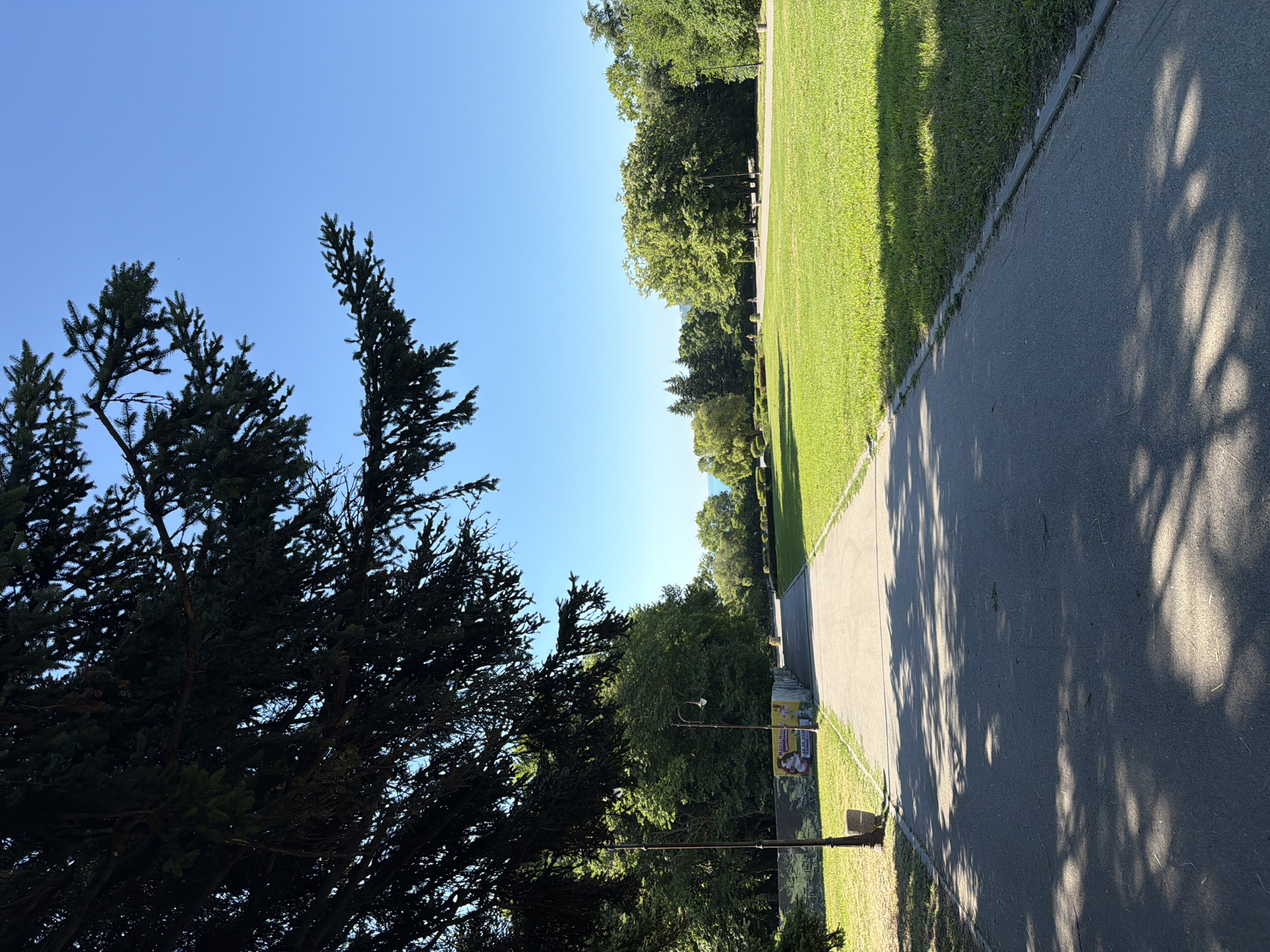 A paved walkway curves through a sunlit park in Varna, Bulgaria, bordered by a manicured lawn on the right and trees on the left. The sky is a clear, bright blue. A large conifer tree dominates the upper left corner, its dark branches casting dappled shadows on the path. A lamppost stands near the walkway on the left, next to a trash can. In the distance, a distant shoreline is visible beyond the trees. The scene appears tranquil and open.