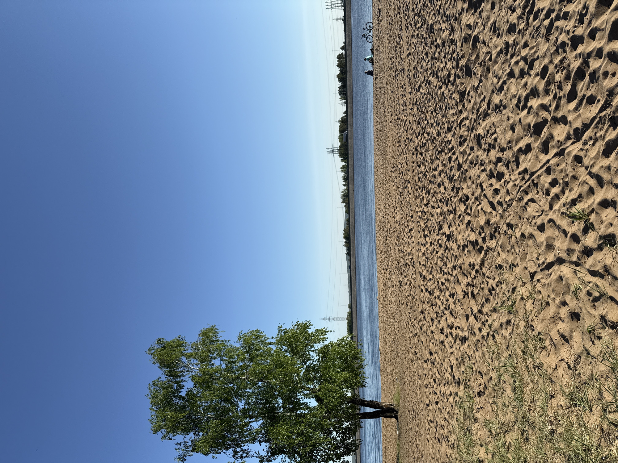 The image depicts a landscape with a distinct division between a clear blue sky and a brown, sandy terrain. A body of water, possibly a river or canal, runs along this division line. A lone tree with green foliage stands in the foreground, its trunk partially submerged in the water. In the distance, power lines are visible, stretching across the horizon. On the sandy terrain, there are imprints suggesting footsteps or disturbances. Further down the sandy area, two people can be seen with a bicycle. The location is likely Noviy, Russia.