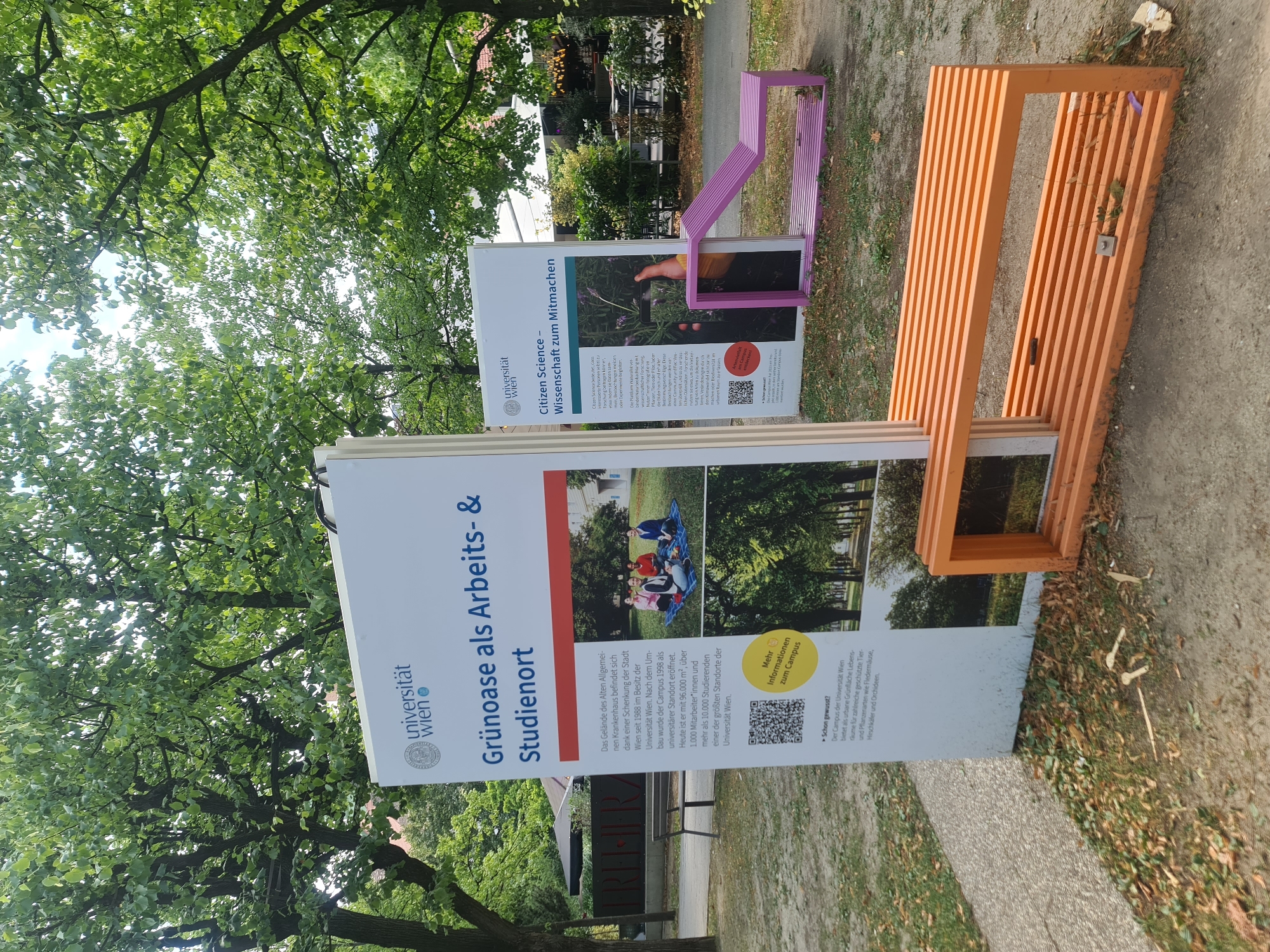 In a park-like setting, two large informational display boards are positioned outdoors. The board on the left, titled "Grünoase als Arbeits- & Studienort," features text about the University of Vienna's campus, an image of people sitting on a picnic blanket, and a QR code. The board on the right, titled "Citizen Science – Wissenschaft zum Mitmachen," discusses citizen science and includes an image of a person using a smartphone. Both boards are white with colored accents and text in German.
In front of the left board is an orange wooden bench with a slatted seat and an open compartment underneath. To the right of the right board is a bright pink slatted bench. The ground is covered in grass and fallen leaves. Trees with green foliage form a canopy overhead, suggesting a leafy environment, likely a public park or campus grounds within the city of Vienna, Austria. In the background, glimpses of buildings and outdoor seating areas are visible. The overall scene depicts an educational and recreational outdoor space.