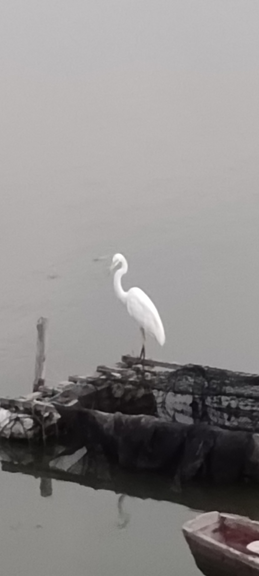 A white egret stands on a wooden structure in a body of water. The egret is facing to the left, with its long neck curved. The wooden structure appears to be a dock or pier, made of weathered planks and some darker material underneath. A vertical wooden post is visible to the left of the egret. The water is calm and reflects the overcast sky. In the foreground, a small wooden boat is partially visible on the right side of the image. The scene is set in a natural environment with a muted color palette.