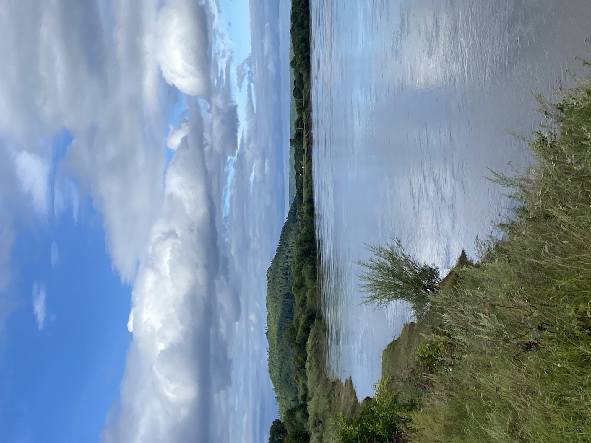 The image depicts a wide, calm river flowing through a rural landscape under a partly cloudy sky. In the foreground, tall green grass and foliage line the riverbank, with a small, bushy tree growing from the bank. Across the river, a densely wooded hill rises, covered in green trees. The sky is a mix of bright blue patches and large, white and grey clouds. The far bank of the river appears distant, with more trees and a hint of a higher elevation in the background. The water reflects the sky and surrounding greenery. This scene is located in Chernyaevo, Russia.