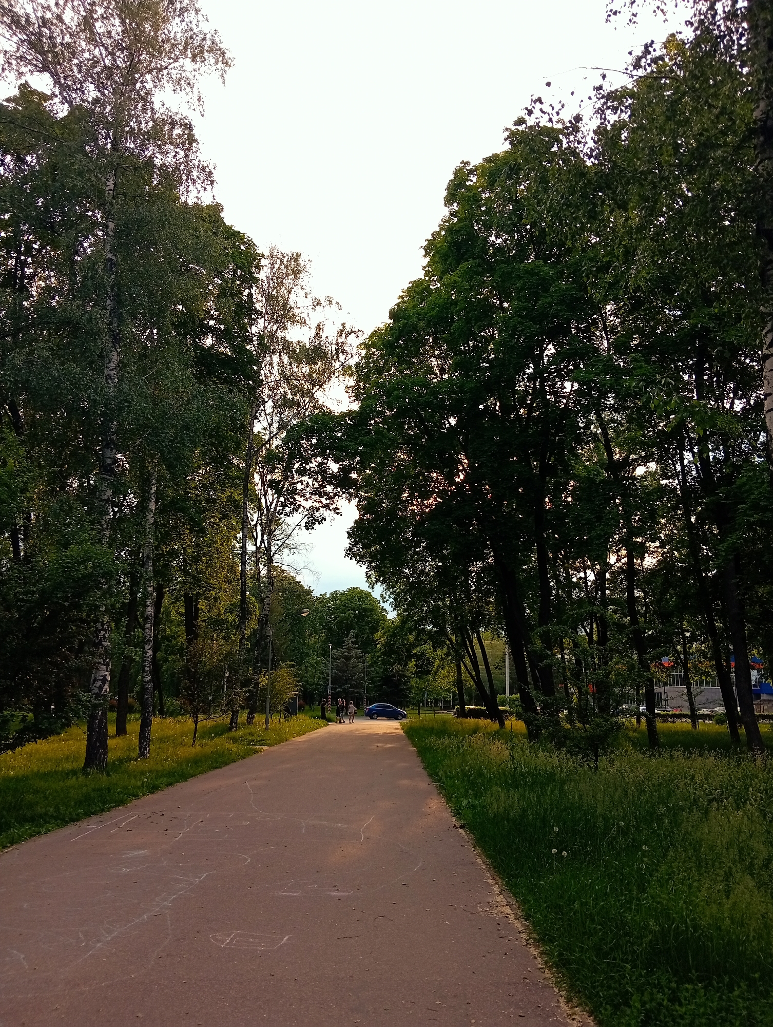The image captures a wide, paved pathway traversing an urban park or green area during daylight hours, likely late afternoon, indicated by the warm, directional light hitting the path and the backlighting on some trees. The sky is largely overexposed, appearing bright white to light grey, suggesting either a bright overcast day or a high sun angle with some atmospheric haze. The abundant green foliage indicates spring or summer.
The pathway, a reddish-brown or terracotta-colored surface (possibly asphalt or compacted earth), extends from the foreground into the mid-distance. Its surface is marked with multiple white chalk drawings, including abstract shapes and rudimentary outlines that resemble houses or vehicles.
On the left side of the path, several tall, mature deciduous trees, predominantly birches identifiable by their characteristic white and black bark, stand with full green leaves. Beyond these trees, a patch of green grass is visible.
The right side of the path is bordered by a strip of tall, lush green grass interspersed with white dandelion seed heads. A dense line of dark-foliaged deciduous trees forms a visual barrier, casting shadows on the grass and path. In the mid-ground, to the right of the path and partially obscured by the trees, a group of three to four individuals are present, appearing to be walking or standing; at least one figure is visibly smaller, indicative of a child.
Further in the distance, a blue sedan is visible on a road that runs parallel to the park. Beyond the trees and the road, several structures or buildings are faintly discernible, with one displaying elements of red and blue coloration, suggesting a commercial establishment or public facility.
A precise location within Poltava, Ukraine, cannot be determined from the visual information provided in the image alone, as no unique landmarks are identifiable.