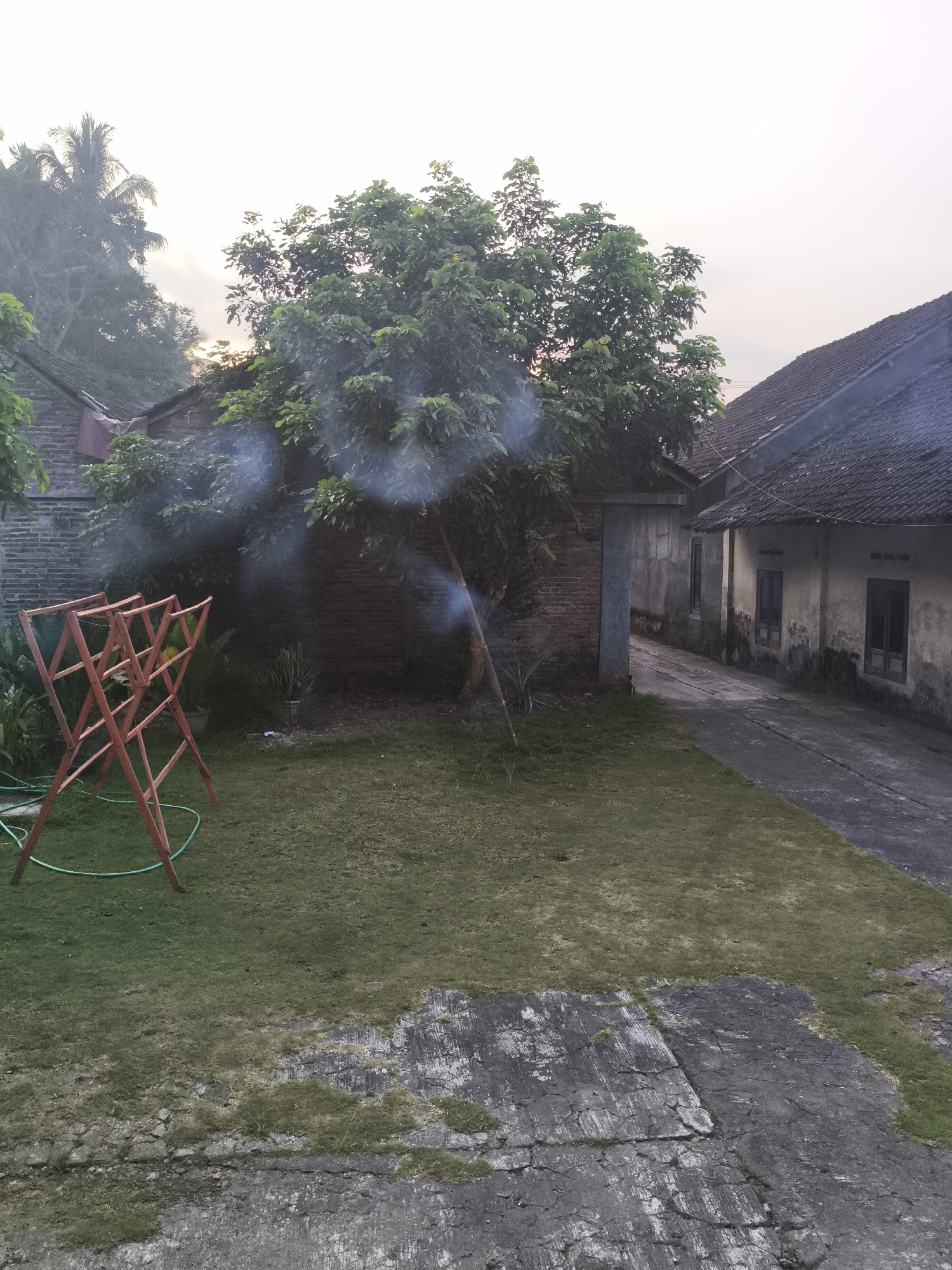 In the city of Kembaran, Indonesia, an outdoor scene captures a residential area. In the foreground, a red A-frame clothes drying rack stands on a patch of green grass, with a green garden hose coiled on the ground. Behind it, a large leafy tree dominates the midground, its branches partially obscuring a brick building. To the right, a narrow paved path leads between two weathered, single-story houses with dark tiled roofs. The sky above is overcast, with hints of a sunrise or sunset. The overall impression is one of a quiet, possibly rural, residential setting in the early morning or late evening.