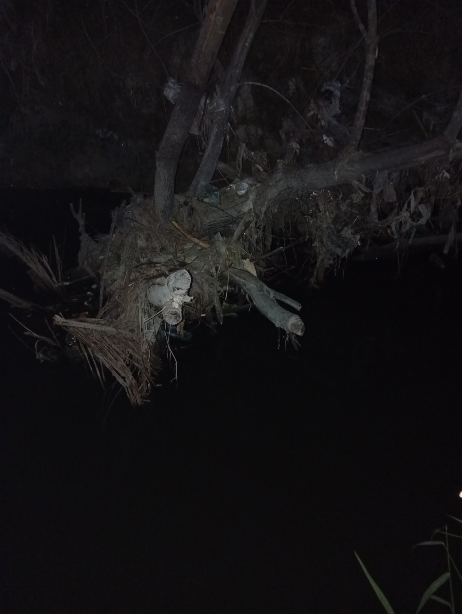 The image depicts a dark, overgrown area, possibly a riverbank or swamp, with a fallen tree trunk partially submerged in dark water. The tree is heavily laden with debris, including what appears to be plastic waste, branches, and dried vegetation, forming a tangled mass. Some of these materials are also draped over the surrounding trees and branches. The scene suggests a neglected or polluted environment. The location in the city of Kualu, Indonesia, is not visually identifiable from the image itself. The overall impression is one of decay and disarray.
