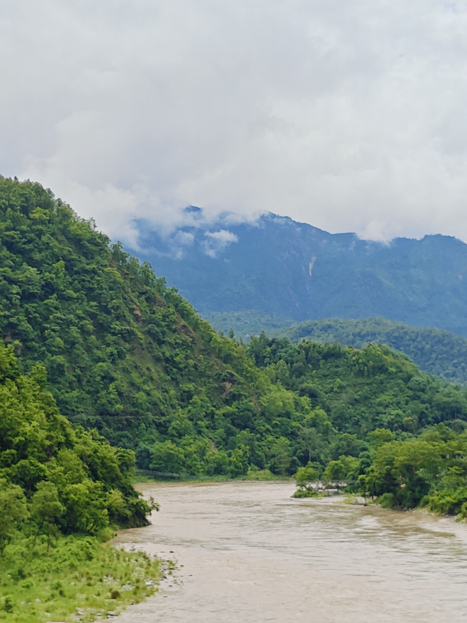 A wide, muddy river flows through a valley surrounded by lush green hills and mountains under a cloudy sky. The river occupies the foreground and mid-ground, its surface textured with ripples. On the left bank, dense green foliage and trees cover a steep slope, with a gravelly shore in the immediate foreground. The right bank is also lined with trees and vegetation. In the background, layers of green hills recede into the distance, topped by larger, mist-shrouded mountains. The sky is overcast with soft, diffused light. The scene depicts a natural landscape in the Ichchhakamana Rural Municipality of Nepal.