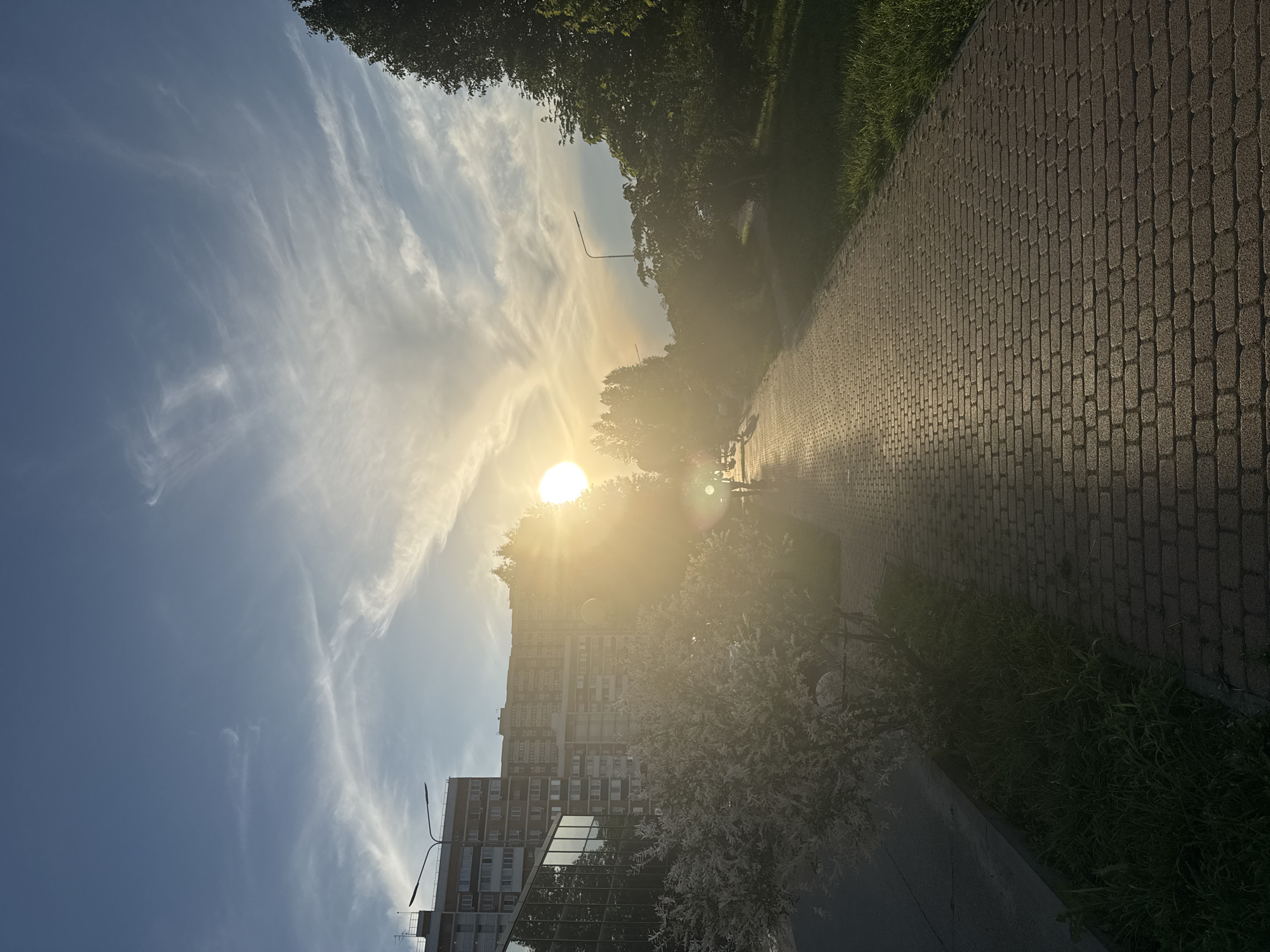 This image depicts an urban landscape in Krasnodar, Russia, under the warm, bright glow of a low-hanging sun, indicative of either sunrise or sunset. The sun, a brilliant orb, is positioned in the upper-middle of the frame, causing significant lens flare and creating a hazy, ethereal atmosphere. It illuminates wispy, white cirrus clouds spread across a clear blue sky.
To the left, a tall, multi-story building, likely residential or commercial, rises with numerous windows visible. Below it, a section of a more modern building with reflective glass facades can be seen. A street light pole with two lamps extends upwards near the buildings. On the right, a brick-paved pathway or sidewalk recedes into the distance, its surface reflecting the golden sunlight. The path is bordered by verdant green grass and dense foliage from trees and bushes, with some light-colored blossoms visible in the foreground. Another street light is present further along the path.
The scene is devoid of people or discernible activities, conveying a sense of quietude and natural beauty within an urban environment. The light quality suggests the 'golden hour,' imbuing the scene with a serene and warm ambiance. The image is presented in a portrait orientation, having been rotated 90 degrees clockwise from its natural horizontal perspective. No visible text is present.