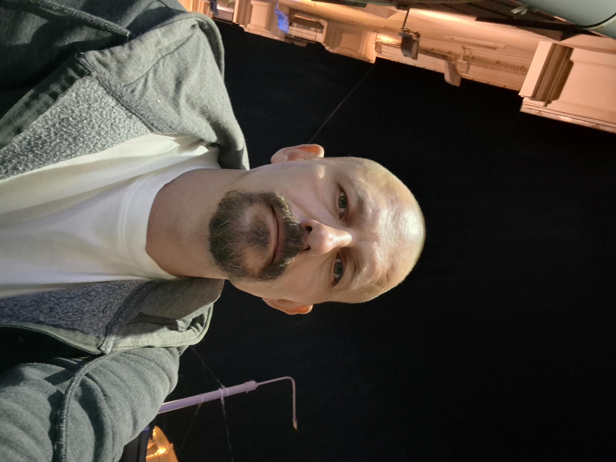 An outdoor, low-light, selfie-style portrait of a bald, light-skinned man with a goatee and mustache. He is wearing a grey hooded jacket over a white t-shirt. The background consists of a dark night sky, a portion of an ornate building with lit windows and architectural details, a lamppost, and faint power lines. The man is looking directly at the camera. The composition suggests the image was taken at night in a city setting.