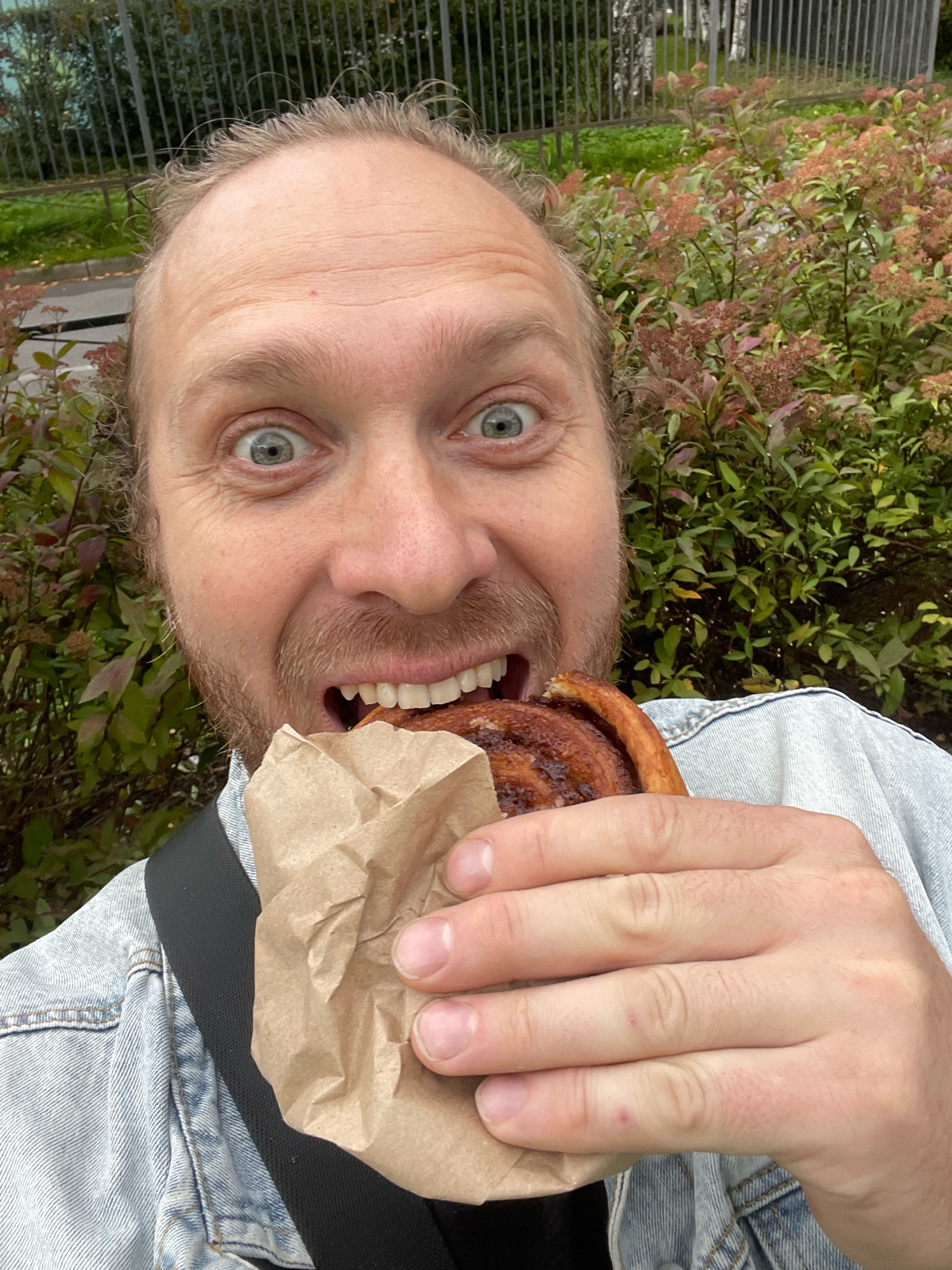 A close-up selfie shows a fair-skinned man with light brown, curly hair and a short beard biting into a cinnamon roll held in a brown paper bag. He is wearing a light blue denim jacket over a dark shirt. The background is out of focus, showing green bushes and foliage, a metal fence, and a glimpse of a sidewalk or road. The image appears to have been taken outdoors during the daytime. The man's eyes are wide open, and his mouth is open as he takes a bite. The overall scene suggests a casual moment of enjoying a pastry outdoors, possibly in a park or garden.