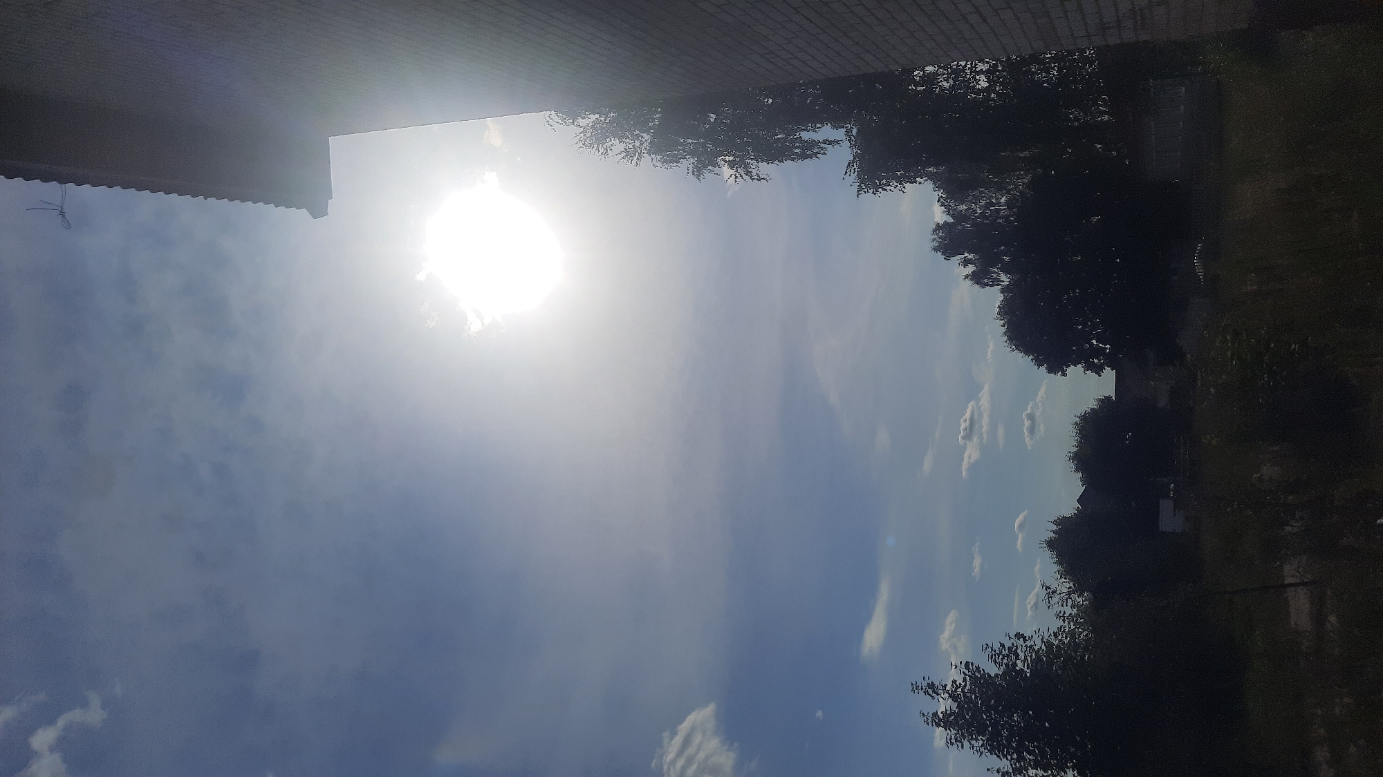 This is a vertical, eye-level, outdoor photograph of a bright, sunlit sky with scattered clouds, taken from a ground-level perspective. The sun is prominently displayed in the upper center of the image, emitting a strong glare and obscuring details within its direct radiance. To the right of the frame, the side of a brick building is visible, extending from the top down to the lower right corner. The building's facade is composed of light-colored bricks and its roofline is visible along the top edge of the frame. Below the sky and in the middle ground, a dense line of dark, silhouetted trees stretches across the image, with some lighter foliage visible among them. In the foreground, the ground is covered with dark, overgrown grass and vegetation. The overall scene suggests a rural or suburban environment on a sunny day, likely in Шклоў, Belarus, given the context.
