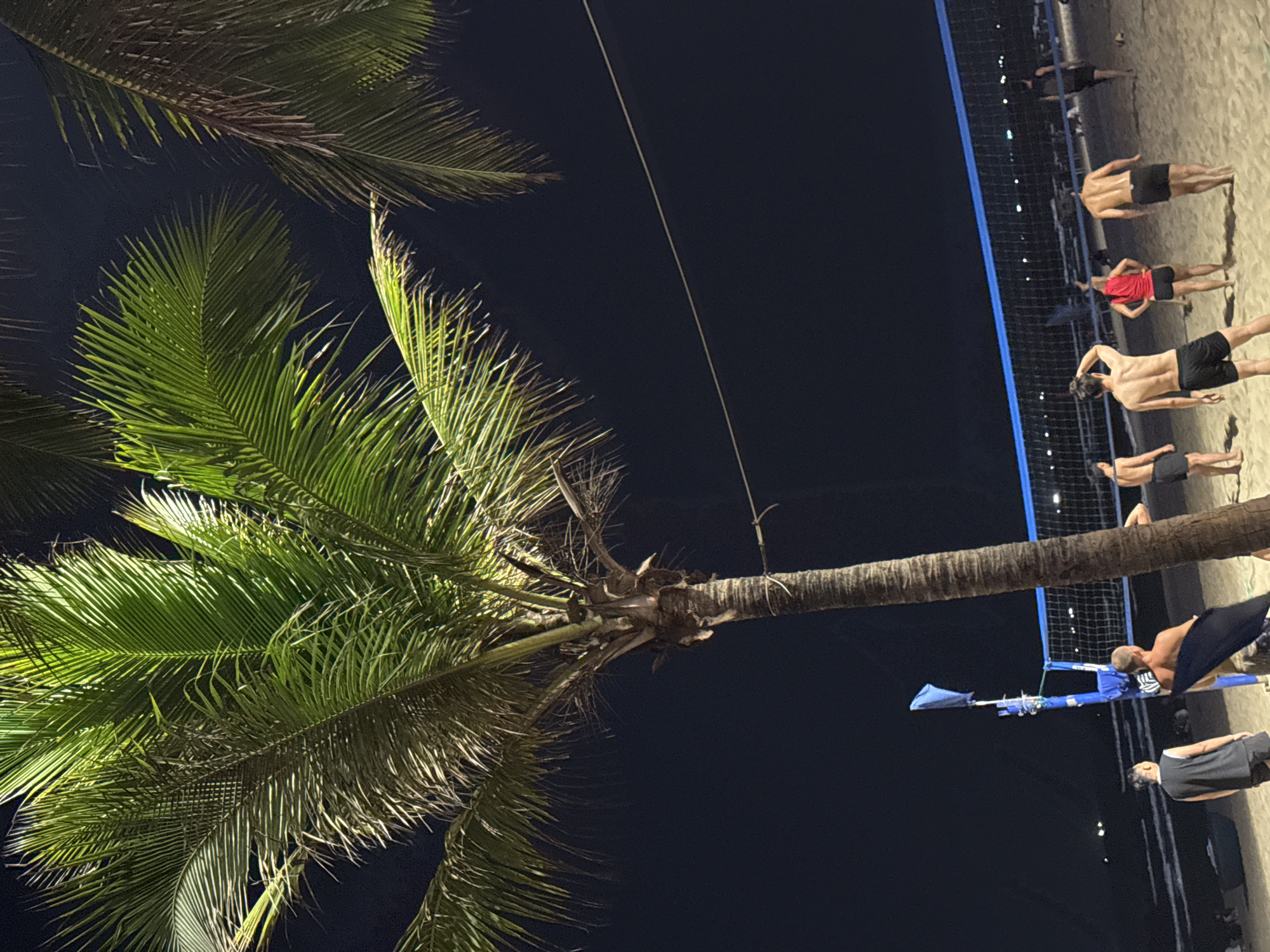 At night in Đà Nẵng, Vietnam, under the illumination of artificial lighting, a palm tree is prominently featured. Its green fronds contrast against the dark sky. In the background, a volleyball net is erected on a beach. A group of people are playing beach volleyball. Some players are shirtless, and one is wearing a red shirt. The scene portrays a casual nighttime recreational activity along the Vietnamese coast.
