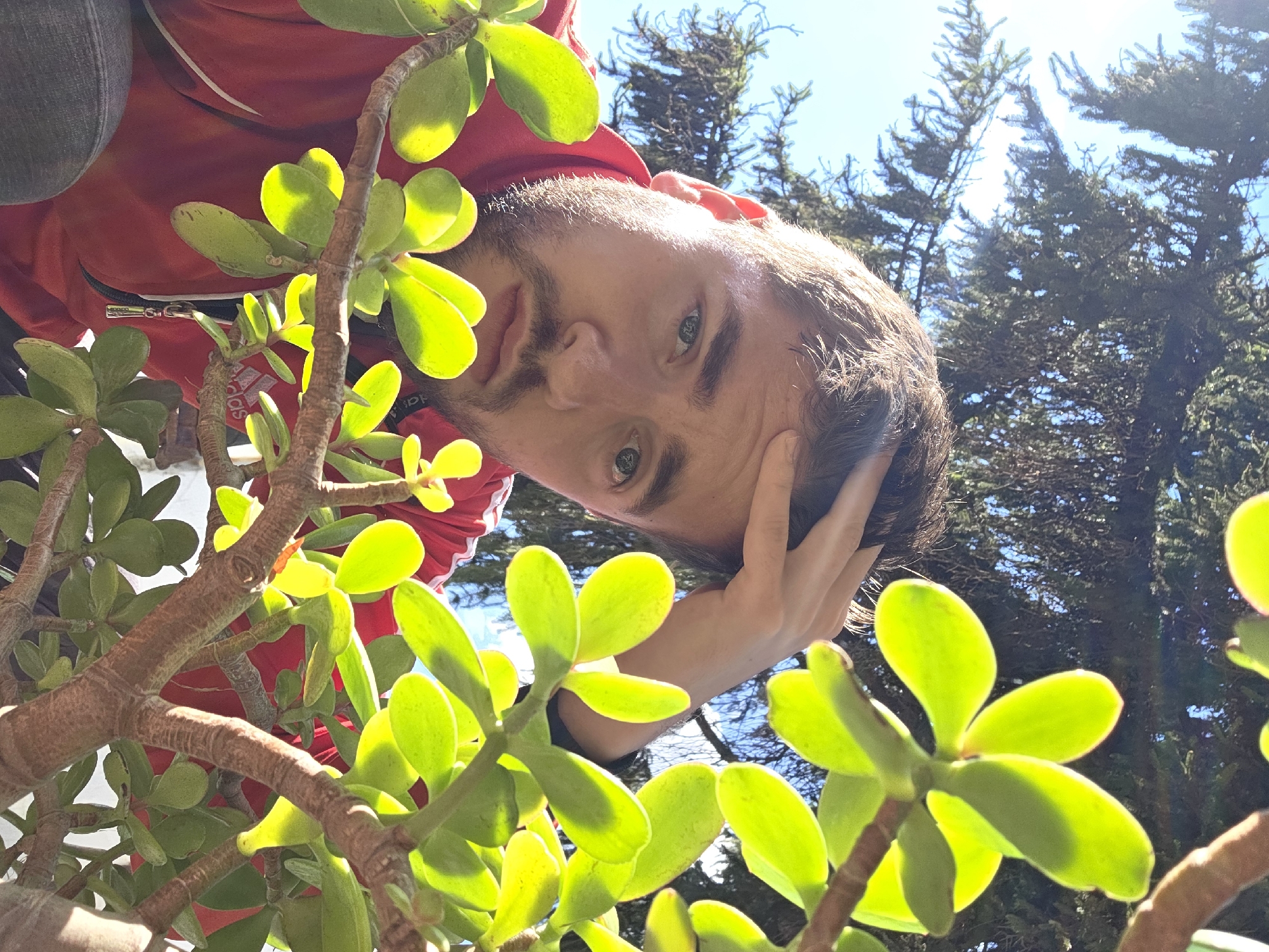 A low-angle, outdoor shot depicts a man in a red jacket and gray pants, seemingly taking a selfie with a succulent plant in the foreground and evergreen trees against a blue sky in the background. The man's face is partially obscured by the plant's leaves, but his expression is visible. His hand is held against his head. The location is Yagodovo, Bulgaria.