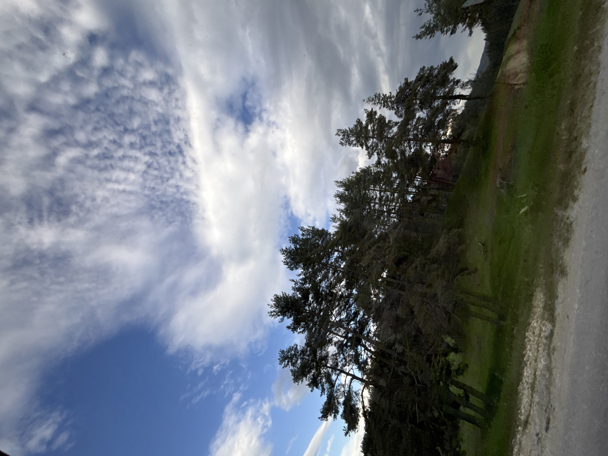 The image shows a view of trees and sky, with the camera tilted to the side. The sky occupies a significant portion of the frame, displaying a mix of blue and cloudy areas. The clouds vary in texture, with some appearing wispy and others more dense. The trees are dark and somewhat silhouetted against the sky. They appear to be grouped together, forming a line along the right side of the image. The ground is green, suggesting a grassy area. There is also a visible road to the right with no visible vehicle, people, or subjects. No location or time of day is indicated in the image.