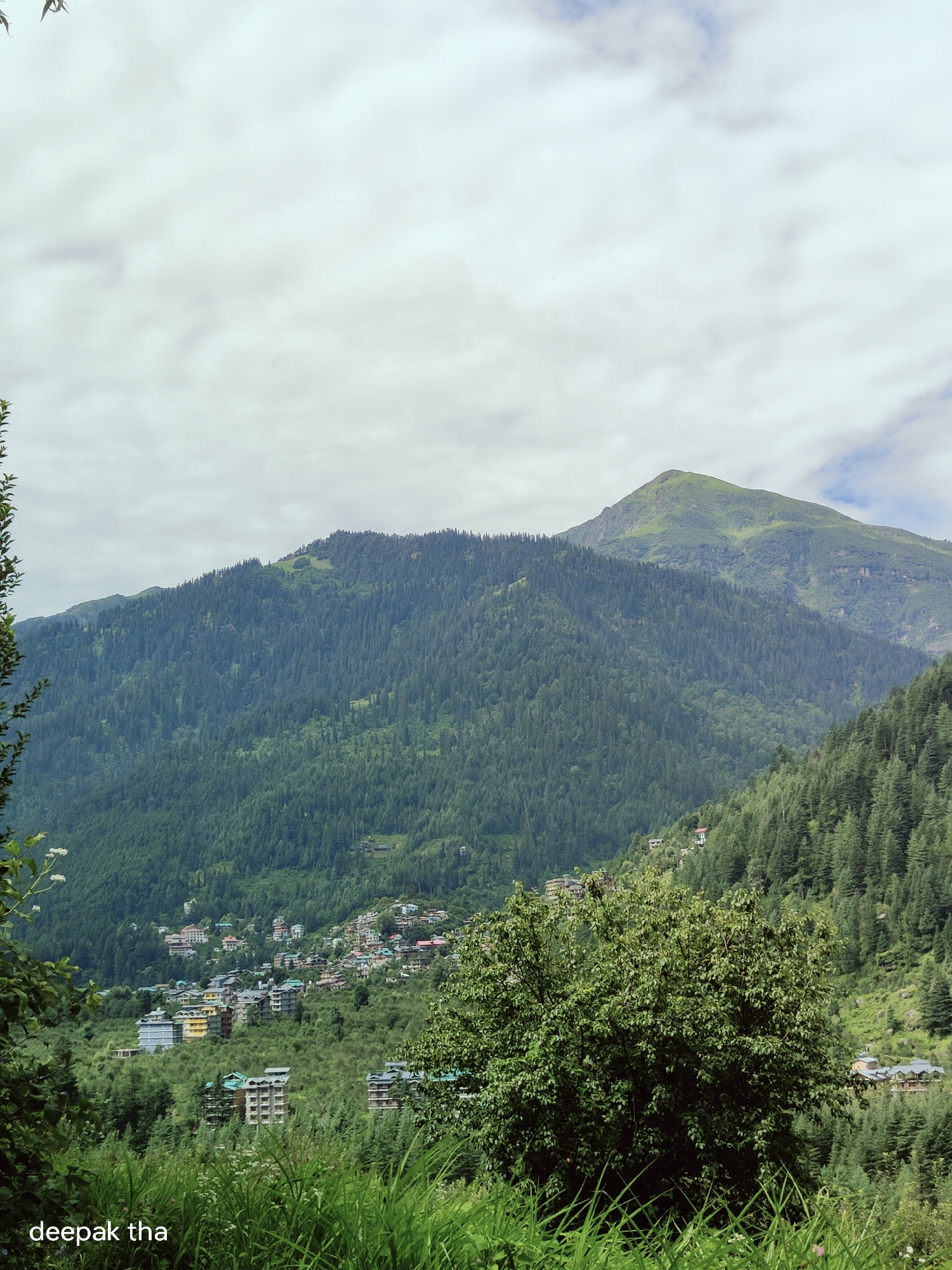 The image shows a lush green mountainside in Vashisht, India, dotted with a cluster of buildings. The foreground is filled with tall grass and a large, leafy tree. In the midground, buildings of various sizes and architectural styles, some with colorful roofs, are nestled amongst the trees on the slopes. The background features a majestic, verdant mountain peak under a cloudy sky. The overall impression is a scenic view of a town integrated into a natural mountain landscape.
