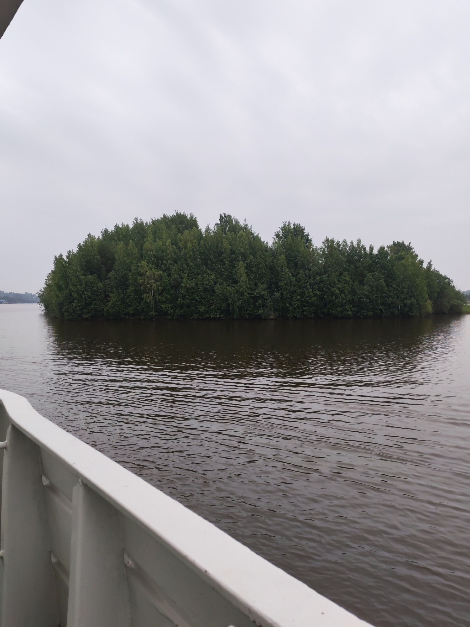 The image depicts a body of water, likely a river or lake, with a dense, green tree-covered island in the middle ground. The sky is overcast and grey. In the foreground, the white railing of a boat is visible, indicating the perspective is from a vessel on the water. The water exhibits small ripples and reflects the muted tones of the sky and the island. The island itself appears to be a small, natural landmass covered in a variety of trees, creating a lush, green expanse. The overall scene suggests a natural, possibly rural or semi-rural, environment. Without further information, the specific location in Goritsy, Russia cannot be definitively determined from the visual elements alone.