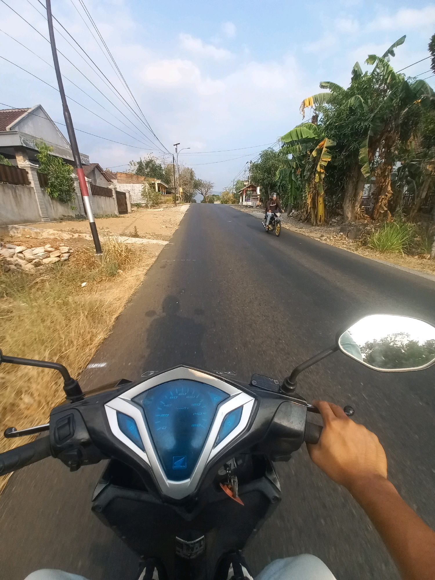 The image shows a first-person perspective of someone riding a motorcycle on a paved road in what appears to be a rural or suburban area of Ngarjosari, Indonesia. The road is lined with dry grass, bushes, and trees, including banana trees, and residential buildings. Power lines crisscross the sky, supported by utility poles. A fellow motorcyclist is visible further down the road. The motorcycle's dashboard, mirrors, and the rider's hand gripping the throttle are in the foreground. The sky is clear with some clouds. The overall lighting suggests it is late afternoon.