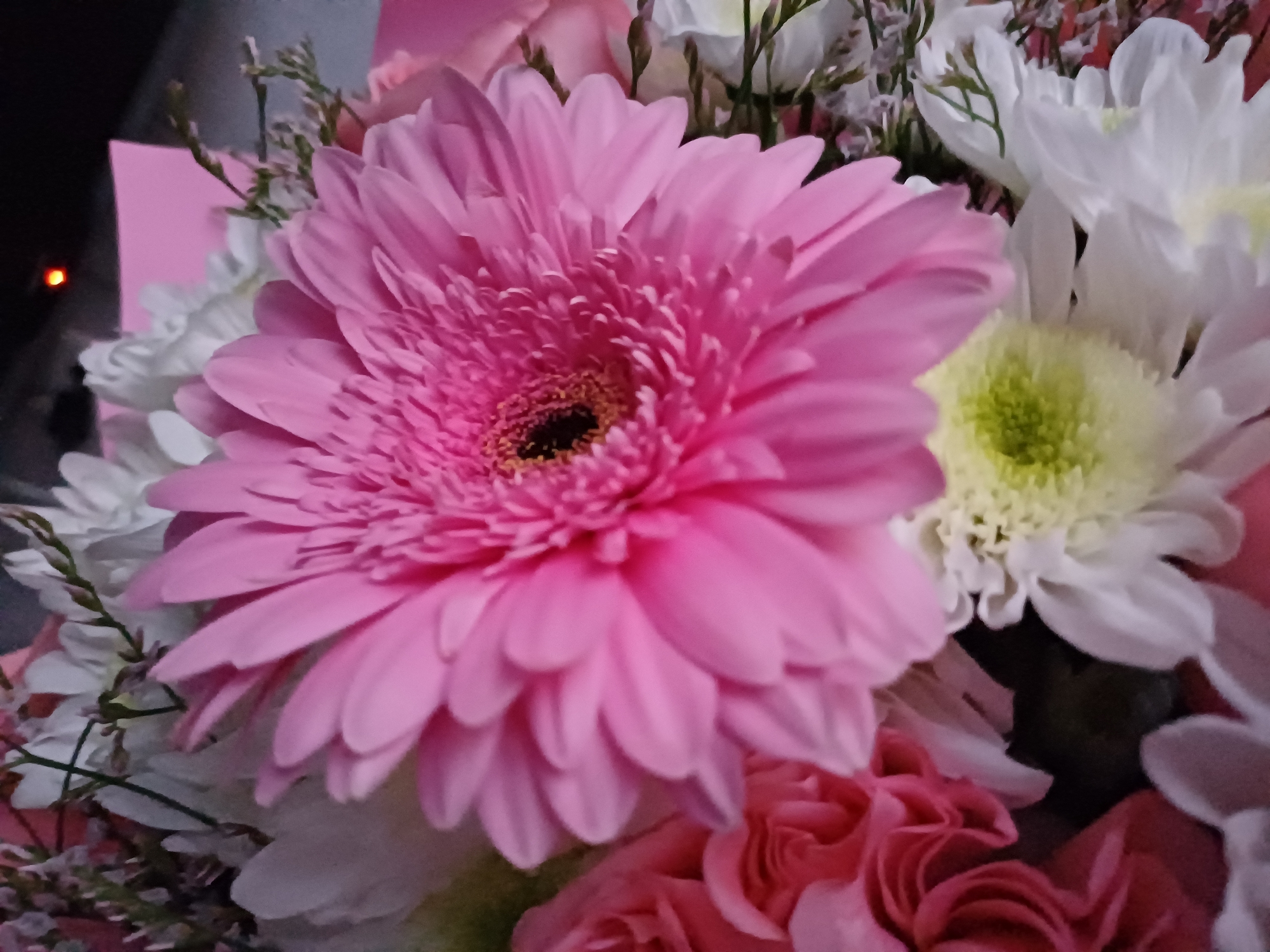 A close-up shot of a bouquet of flowers is displayed, featuring a large pink gerbera daisy as the central subject. Surrounding the gerbera are white chrysanthemums, some with a light green center, and hints of pink carnations at the bottom. Delicate green foliage and smaller white flowers are interspersed throughout the arrangement.
The lighting suggests an indoor setting, possibly artificial light due to the slightly muted colors and lack of harsh shadows. The focus is sharp on the gerbera daisy, with the other flowers and background elements slightly blurred, creating a depth of field effect. The overall mood conveyed is gentle and serene, due to the soft colors and the delicate nature of the flowers. There are no visible people or text in the image. The background on the left side of the image appears dark, with a small red light visible, which could indicate a device or indicator light.