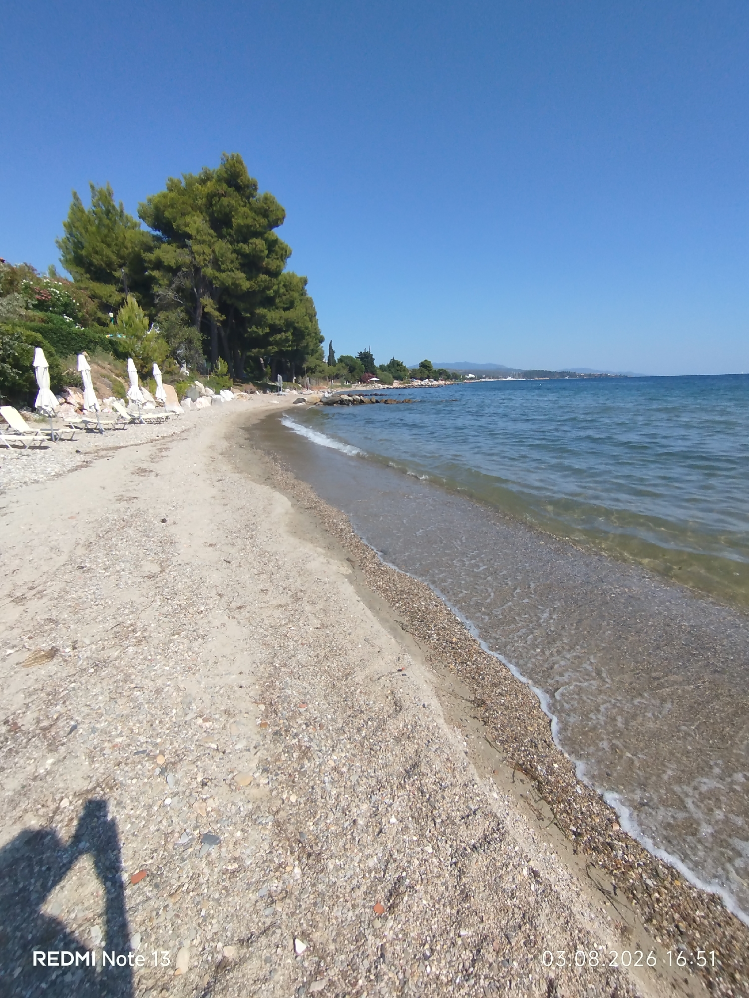 This image depicts a serene beach scene on a sunny day. The foreground is dominated by a sandy and pebbly shoreline with a clear, calm sea lapping gently against it. Several white beach umbrellas and lounge chairs are set up along the sand, suggesting a resort or public beach area. Lush green trees and vegetation line the upper portion of the beach, with some flowering plants adding a touch of color. In the distance, the coastline stretches out, with hills or mountains forming a backdrop under a clear blue sky. The water appears inviting and tranquil. The scene is located in the Sithonia Municipal Unit, Greece.