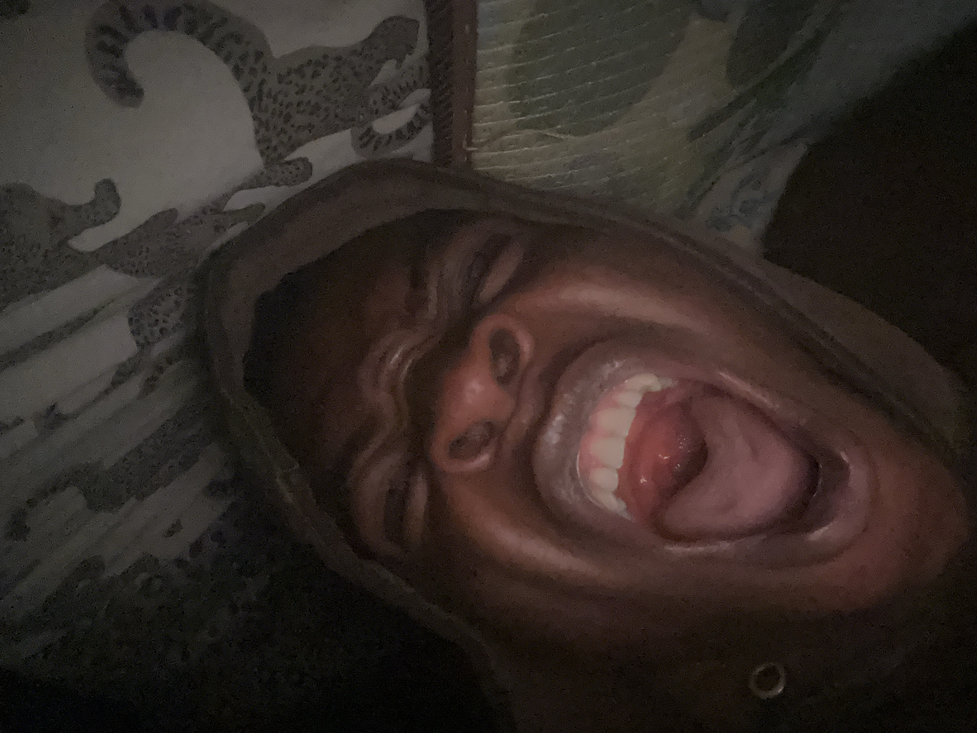 The image shows a close-up, low-angle shot of a person with their mouth wide open, as if shouting or screaming. The person is wearing a dark-colored hooded garment. The background appears to be a bed with a patterned sheet featuring what looks like cheetahs. The lighting is dim, creating shadows and highlighting the person's facial features, particularly their teeth and the inside of their mouth. There is no indication of the specific location within Ikorodu, Nigeria, as the scene is confined to the immediate surroundings of the person.