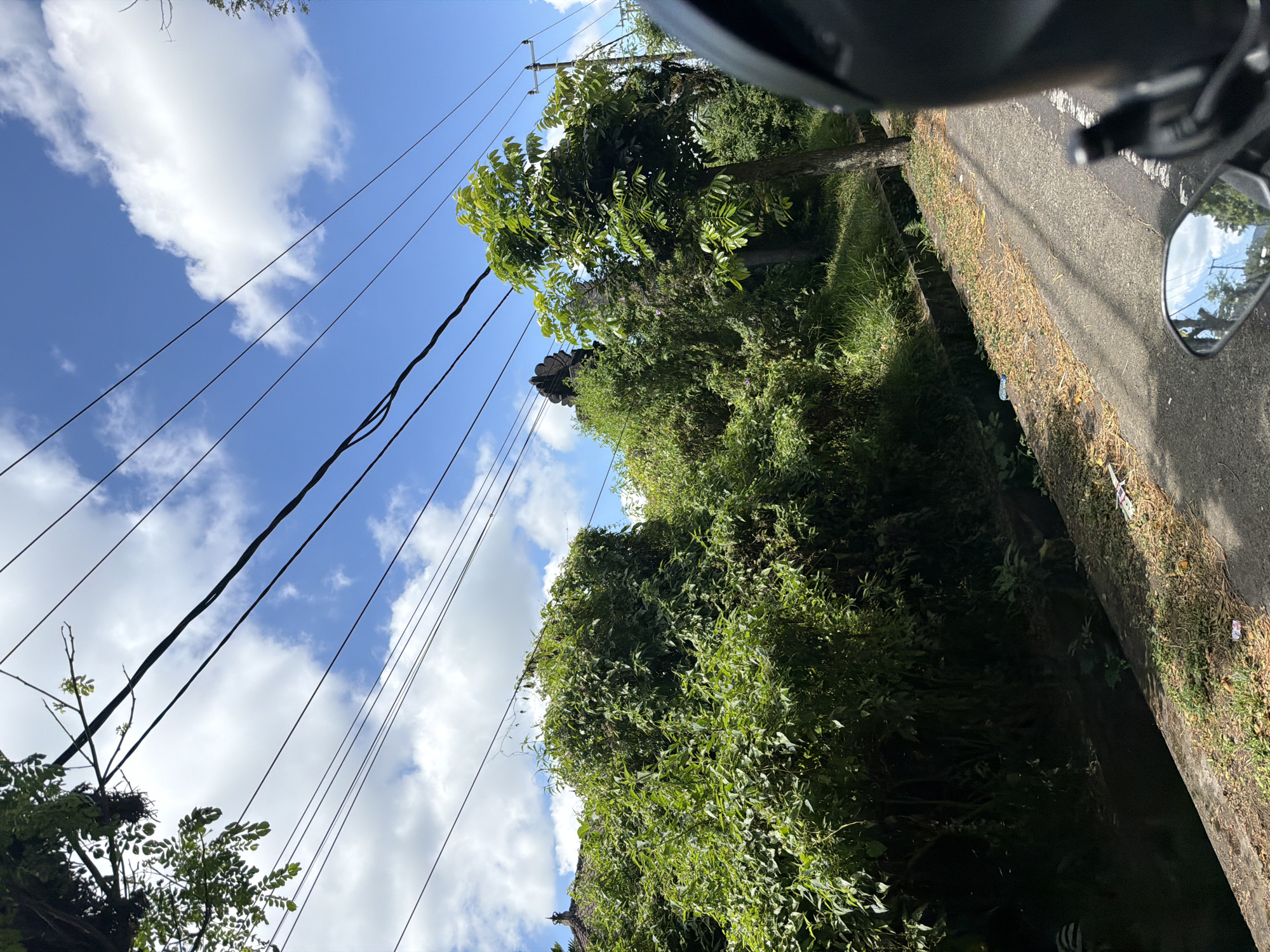 The image depicts a roadside scene in Baturiti, Indonesia, on a bright, partly cloudy day. The foreground shows a portion of a paved road on the right, with a concrete drainage ditch running alongside it on the left. The ditch appears to contain some debris. A motorcycle's helmet and rearview mirror are visible on the right side of the frame, suggesting the photo was taken from a moving motorcycle.
The roadside is bordered by dense, vibrant green foliage and trees. In the middle ground, a large cluster of bushes and trees dominates, with glimpses of traditional Balinese architecture, specifically a temple-like structure with carved stonework, peeking through the vegetation on the left. A single, slender tree with light green leaves stands to the right of the bushes, with its trunk leaning slightly. Overhead, a network of black electrical wires crisscrosses the bright blue sky, with fluffy white clouds scattered throughout. The overall impression is one of lush tropical vegetation bordering a rural or semi-rural road in Indonesia.