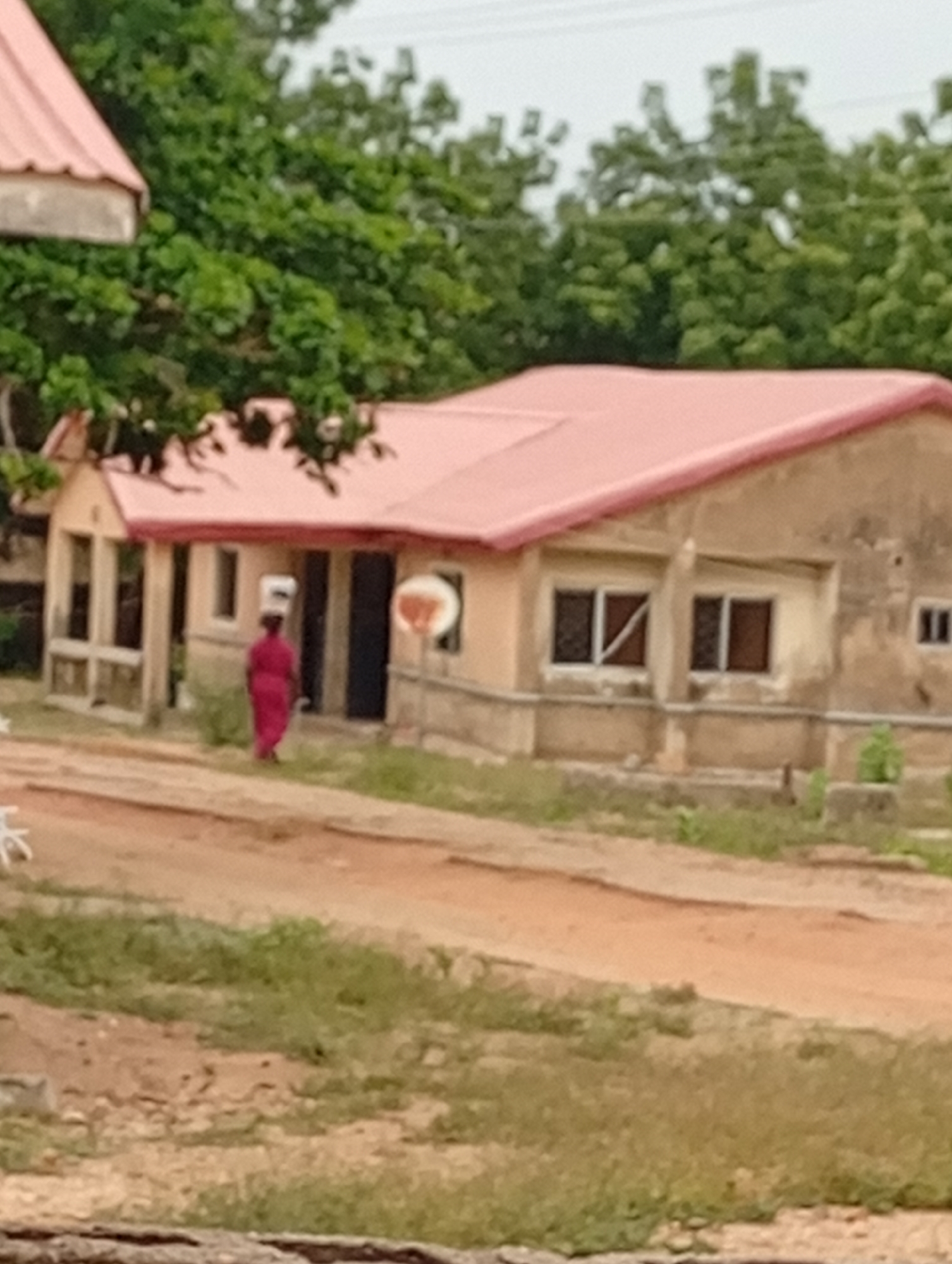 This image depicts an outdoor scene in what appears to be a rural or semi-urban setting, consistent with Adankolo, Nigeria. The central feature is a modest, single-story building with light brown or tan walls and a distinctive reddish-orange corrugated metal roof. The building has several windows, some fitted with security bars, and two visible dark-colored doors. A small, white satellite dish is mounted on the wall to the right of the main entrance. Another structure with a similar red roof is partially visible on the far left of the frame.
A person, likely a woman, dressed in a vibrant red garment, is walking away from the camera towards the building. She is carrying a white item, possibly a bucket or basin, balanced on her head, a common method of transport in the region.
The ground in the foreground consists of a reddish-brown dirt path or road, dotted with patches of green grass. Numerous lush green trees form a dense canopy in the background and around the buildings, indicating a natural, verdant environment. The sky appears overcast or hazy, suggesting it is daytime without direct sunlight. The scene captures a moment of daily life, with the woman engaged in an everyday activity. There is no visible text in the image.