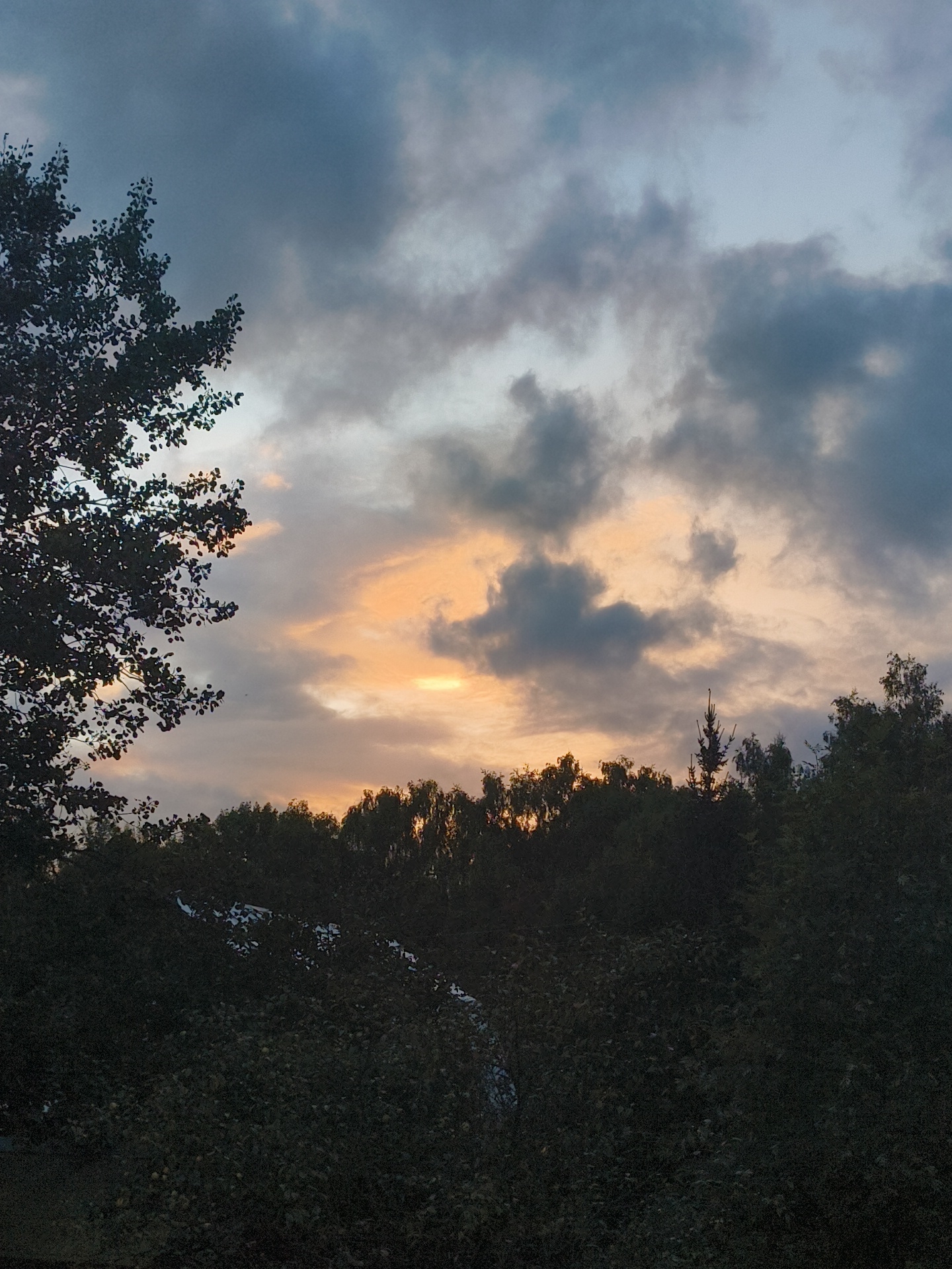 The image depicts a dusky sky with dramatic clouds over a dense tree line. The sky transitions from a pale blue at the top to darker, moody grey and deep blue clouds, with a striking band of warm orange light breaking through in the center, suggesting either sunrise or sunset. Silhouetted against this sky are the dark, leafy canopies of numerous trees, creating a textured horizontal band across the lower half of the image. A large, dark tree with visible leaves dominates the left side of the frame, its branches reaching into the sky. A single, slender evergreen tree rises slightly above the other foliage in the central portion of the horizon. The overall impression is one of a natural landscape at the edge of twilight. The location is identified as Востец Снт, Russia.