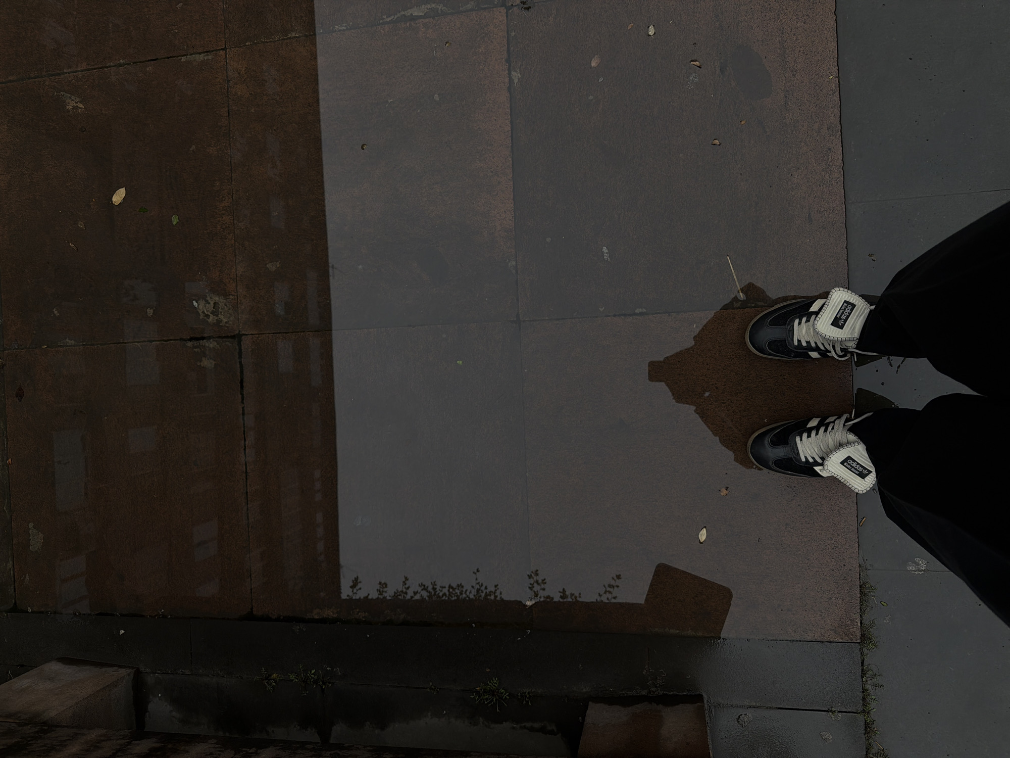 The image depicts an overhead view of a person's lower legs and feet standing on a wet paved surface in Yerevan, Armenia. The individual wears black pants and black and white Adidas Samba sneakers, with the left shoe's tongue clearly displaying the "Adidas Samba" logo and text. A large, dark puddle of water occupies the majority of the ground surface, reflecting the silhouette of the photographer's upper body near the left foot, and indistinct shapes resembling building windows and sparse foliage in the deeper areas. The ground is composed of dark, rectangular paving tiles, some visible beneath the water and others dry along the edges. To the far left, a darker, textured edge or wall is visible, with small green plant growth protruding from crevices. Scattered small leaves and debris are present on both the wet and dry sections of the pavement. The overall lighting is muted and consistent with an overcast or recently rained environment.