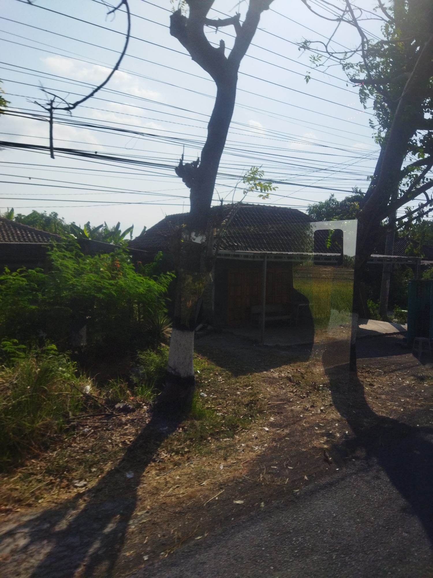 The image depicts a roadside scene in the city of Kepuh, Indonesia, under a clear sky. A tall tree with a white-painted base is prominent in the foreground, casting a long shadow across the ground. Behind the tree, a small structure with a dark, tiled roof and wooden walls is visible, partially obscured by lush green foliage. Beyond this structure, more rooftops and banana plants indicate a residential area. Numerous electrical wires crisscross the sky, strung between poles, suggesting the presence of infrastructure. The ground is a mixture of dry grass, soil, and some scattered debris. The overall impression is of a semi-rural environment.