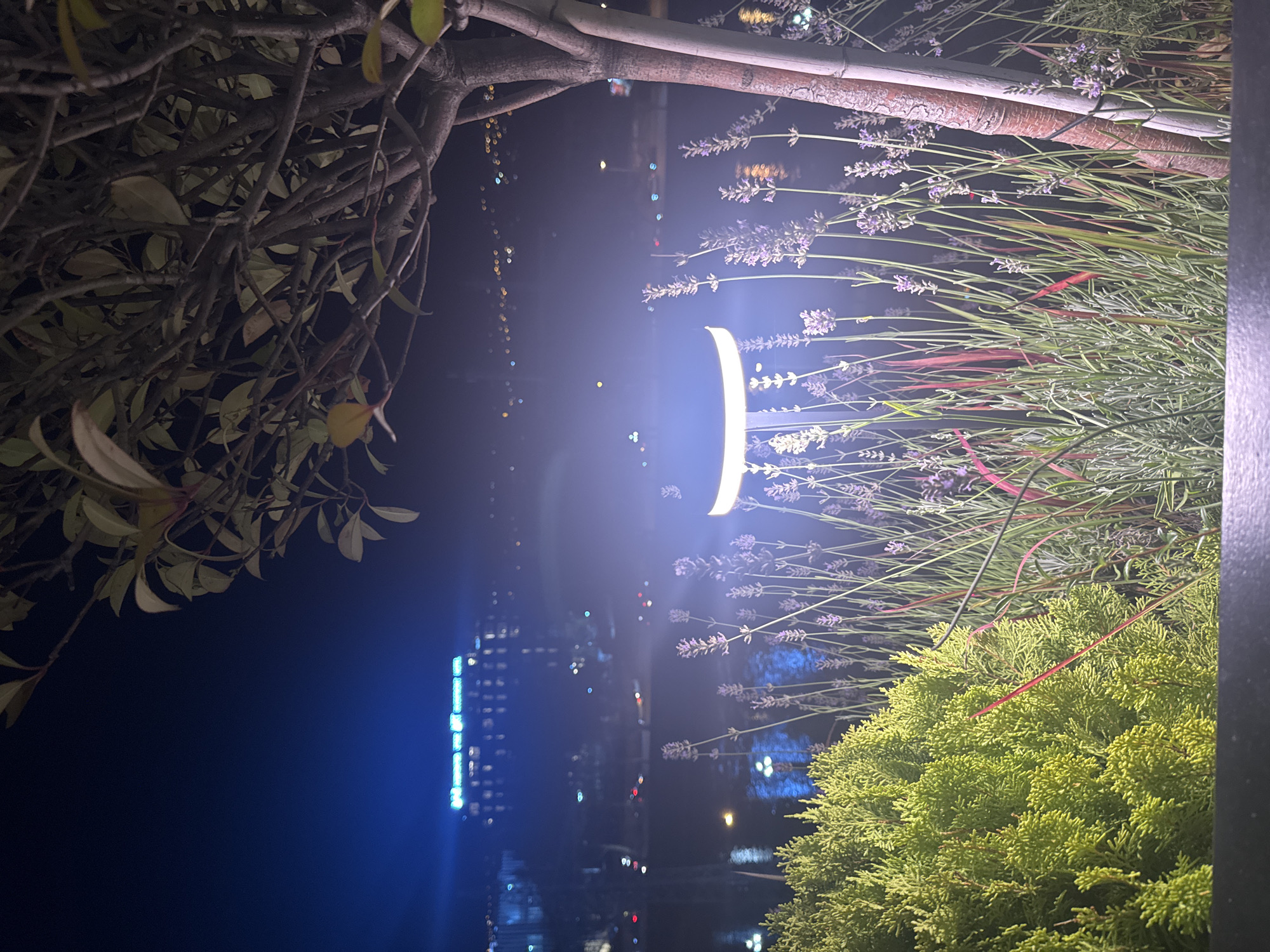 The image depicts a night view from a terrace or elevated viewpoint, overlooking a city landscape. In the foreground, there is lush green shrubbery and tall lavender plants. A tree with thin branches and leaves is positioned on the right side of the frame, partially obscuring the view. A modern, curved lamp illuminates the plants in the foreground with a bright, cool light. In the mid-ground, a body of water, possibly a river or lake, reflects the lights from the city. Across the water, the city skyline is visible, with buildings and lights stretching into the distance. A prominent building in the background features bright blue neon signage, suggesting it might be a hotel or a large commercial establishment. The overall atmosphere is serene and dimly lit, typical of a city at night. The description does not provide enough specific detail to pinpoint the exact location within Tbilisi, Georgia.