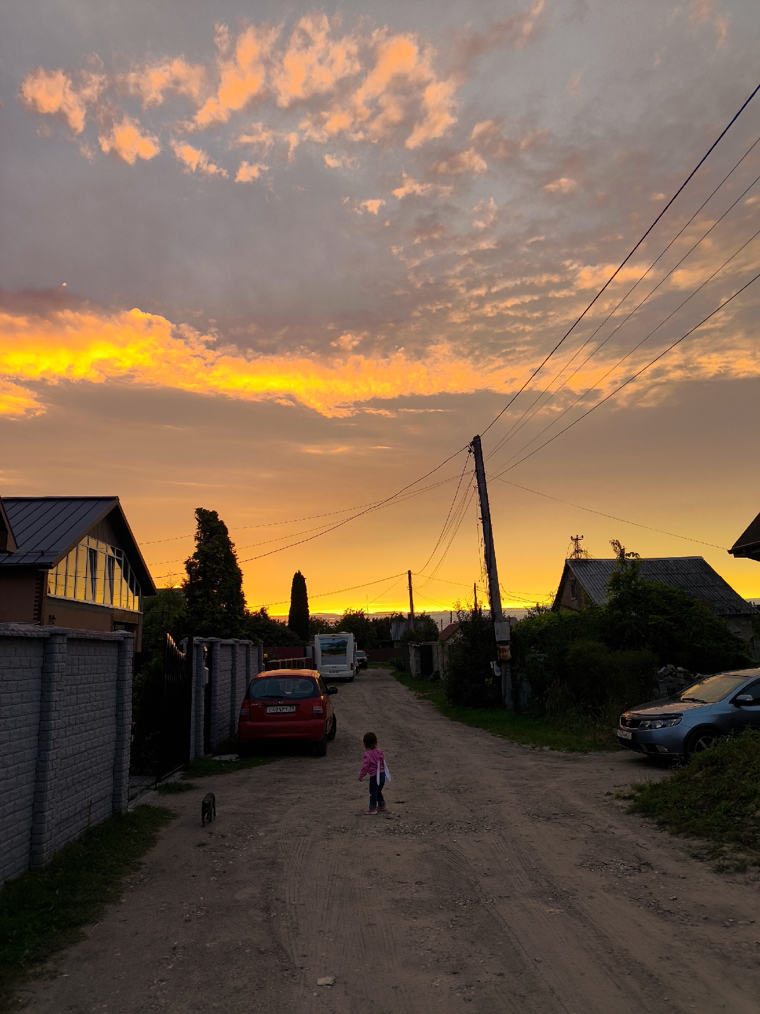 The image captures a village street at dusk, bathed in the warm glow of a fiery sunset. The sky is a dramatic canvas of vibrant orange and yellow, streaked with clouds that reflect the intense light. A dirt road winds through the scene, flanked by houses and dense greenery. A small child in a pink jacket walks down the road, while a grey cat trots ahead. On the left, a brick fence borders a property with a modern house featuring large windows. A red car is parked near a gate, and a white camper van is visible further down the road. On the right, a dark sedan is parked, partially obscured by bushes. Utility poles and power lines crisscross the sky, adding a touch of urban infrastructure to the rural setting. The overall impression is one of peaceful domesticity set against a breathtaking natural spectacle. Given the style of architecture and the presence of a camper van, this scene is likely in a dacha settlement or a suburban area on the outskirts of Kaliningrad, Russia.