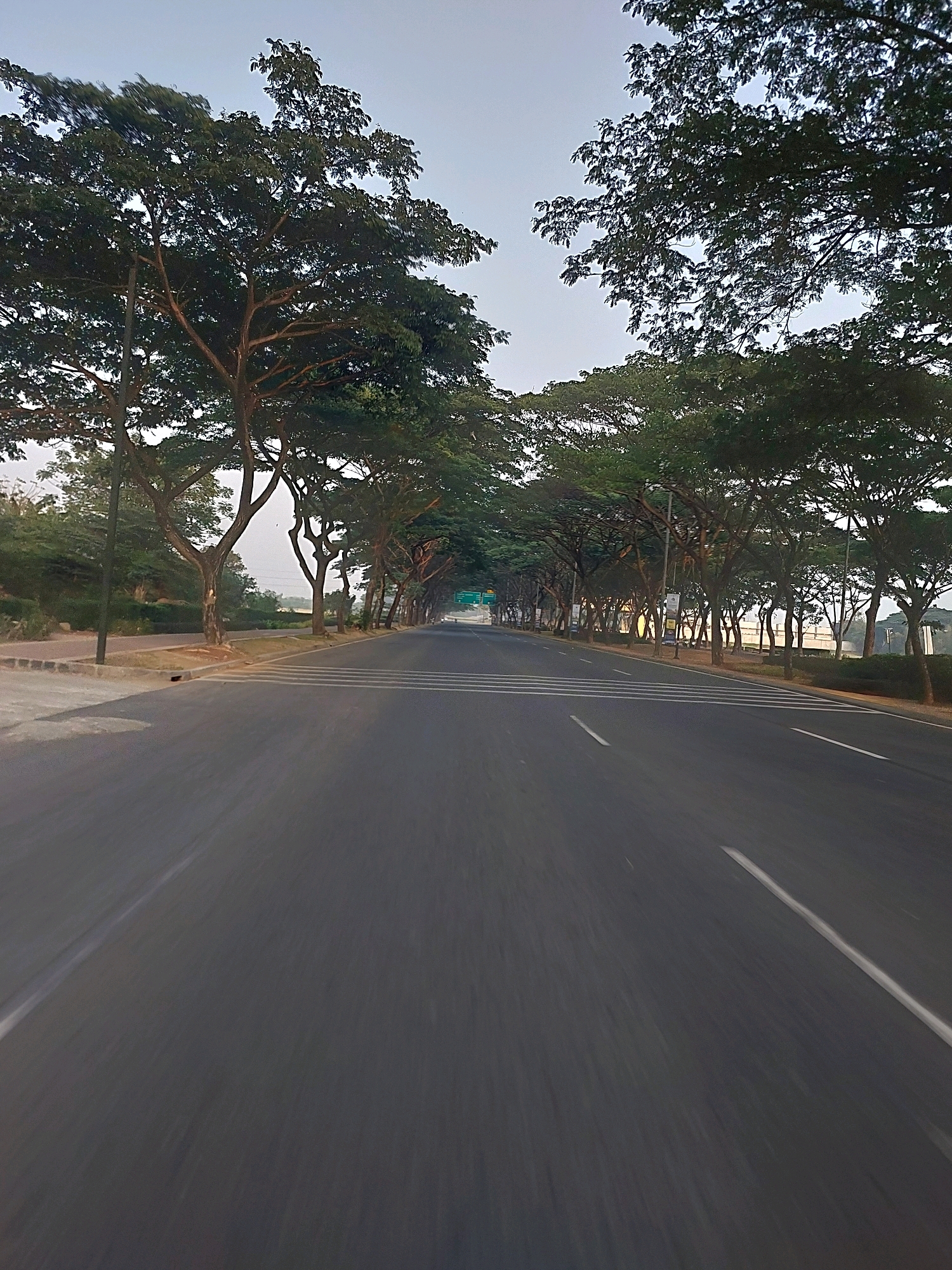The image depicts a road lined with trees in the city of Pasir Jaya, Indonesia. The perspective is from a vehicle moving forward on a paved road. The trees, with their dense foliage, form an avenue over the road, creating a tunnel-like effect. On the left side of the road, there is a sidewalk and a lamppost. White pedestrian crossing lines are visible on the road surface. The sky above is clear and overcast. The overall impression is of a well-maintained road in a suburban or semi-urban area, likely during the day due to the ambient light. There are no people or other vehicles immediately visible in the frame, and the motion blur suggests a moderate speed of travel.